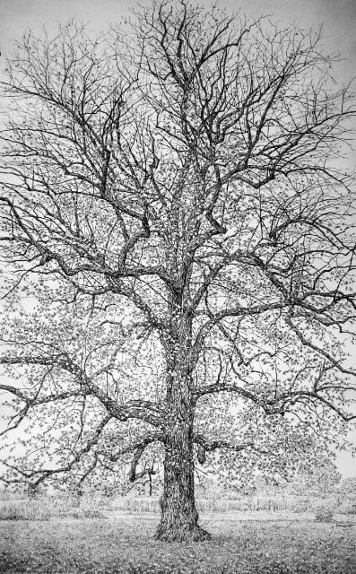 Roy Wright, Autumn Leaves Your Beauty's Got A Hold On Me, 2011