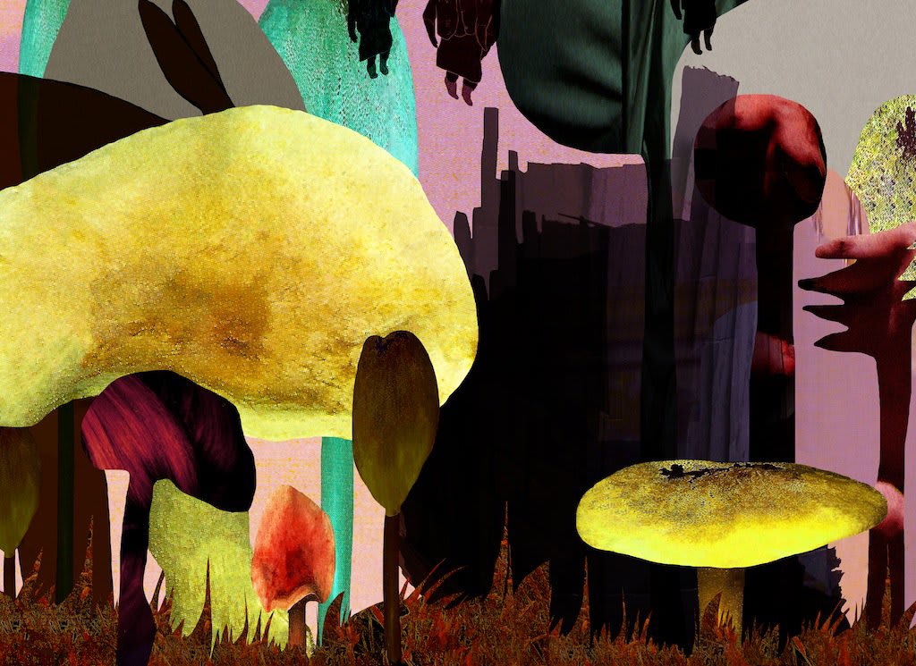 Katja Angeli, Shed, 2013, digital print on silk, 80 x 100cms