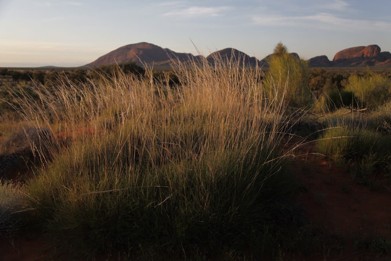 Juno Gemes, Uluru- Sacred Ground, 2010