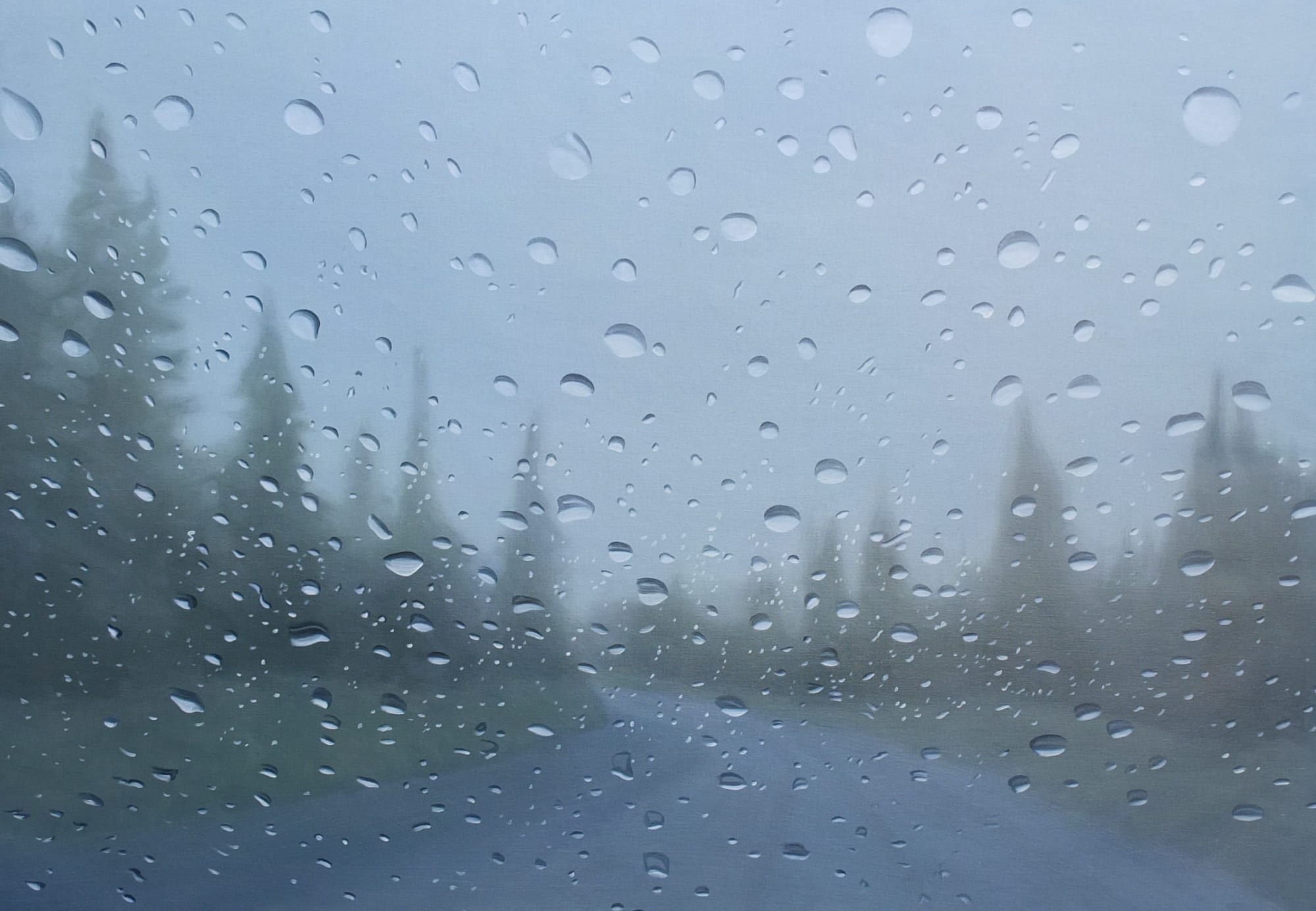 Esther Nienhuis, Saudade 56, 2015