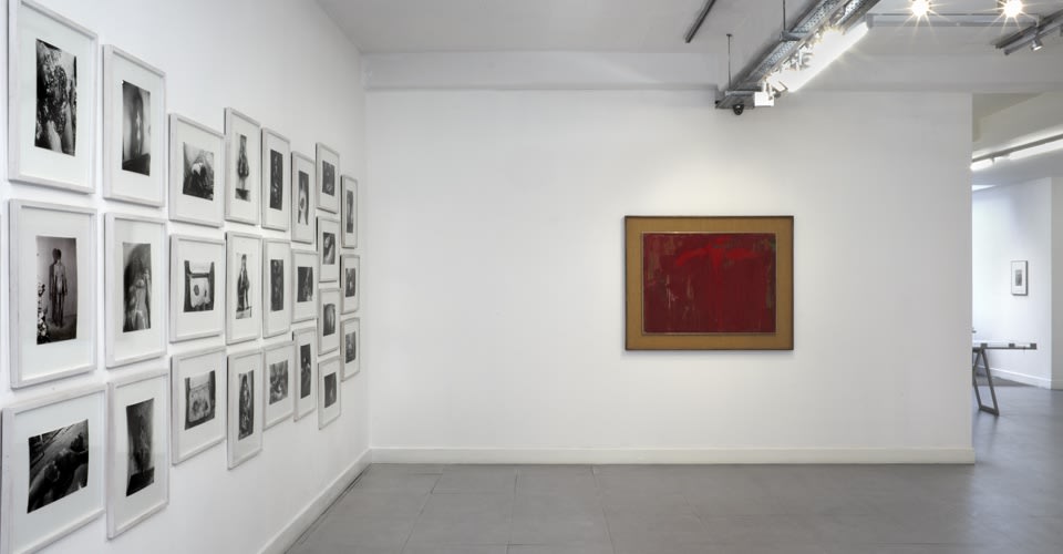 Viennese Season: Actionism (6 March - 4 April 2014) installation views