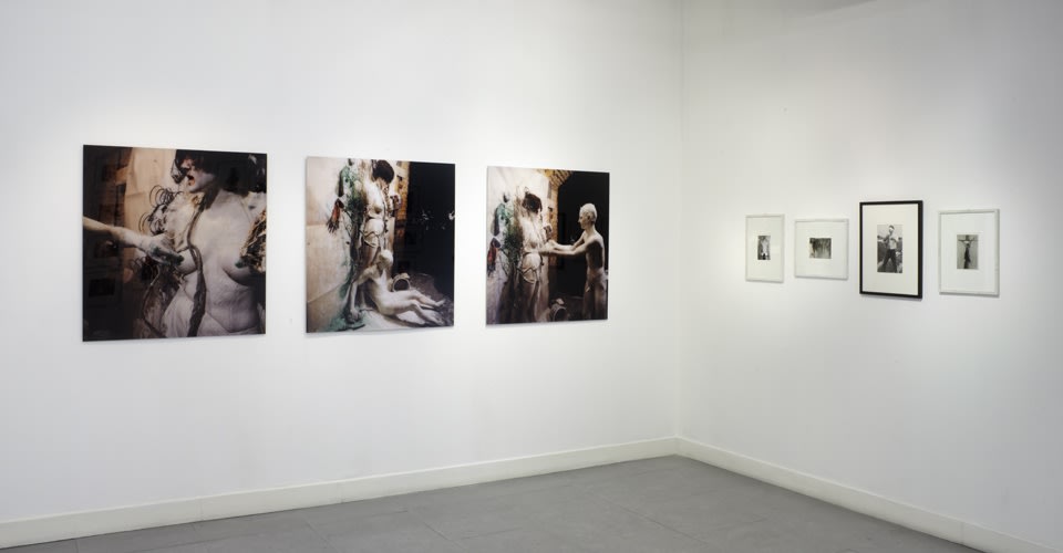 Viennese Season: Actionism (6 March - 4 April 2014) installation views