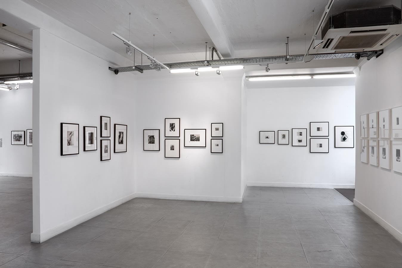 THE VISUAL REVOLUTION