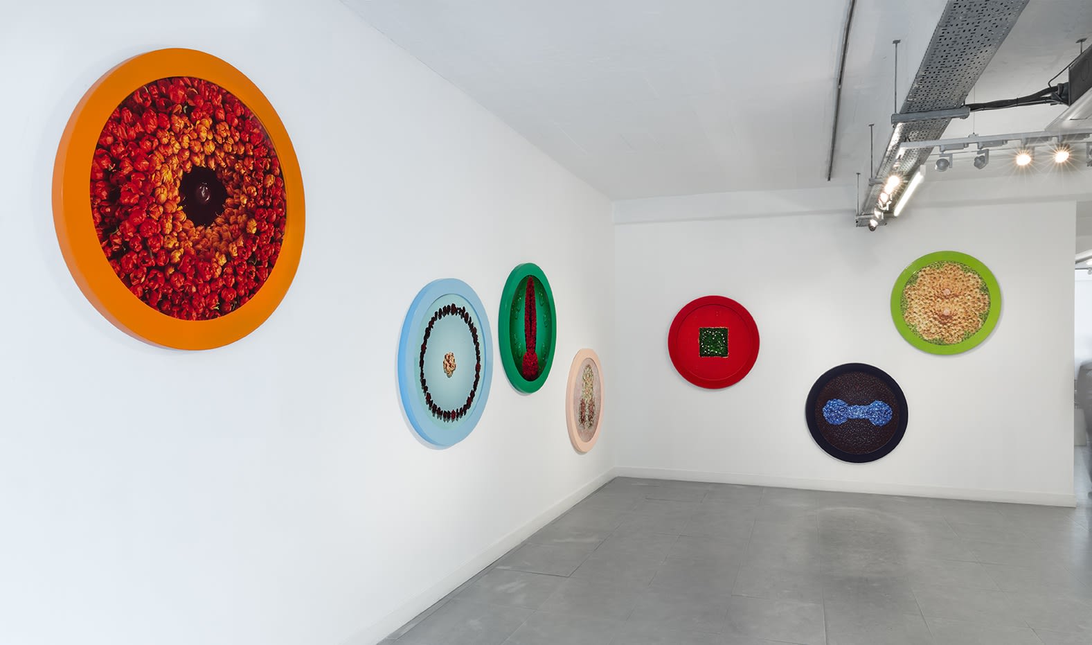 Installation view of HELEN CHADWICK: Bad Blooms at Richard Saltoun Gallery