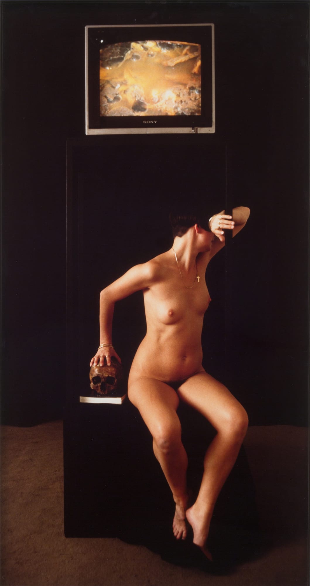 Helen CHADWICK Ruin, 1986 Cibachrome photograph 91.5 x 46 cm