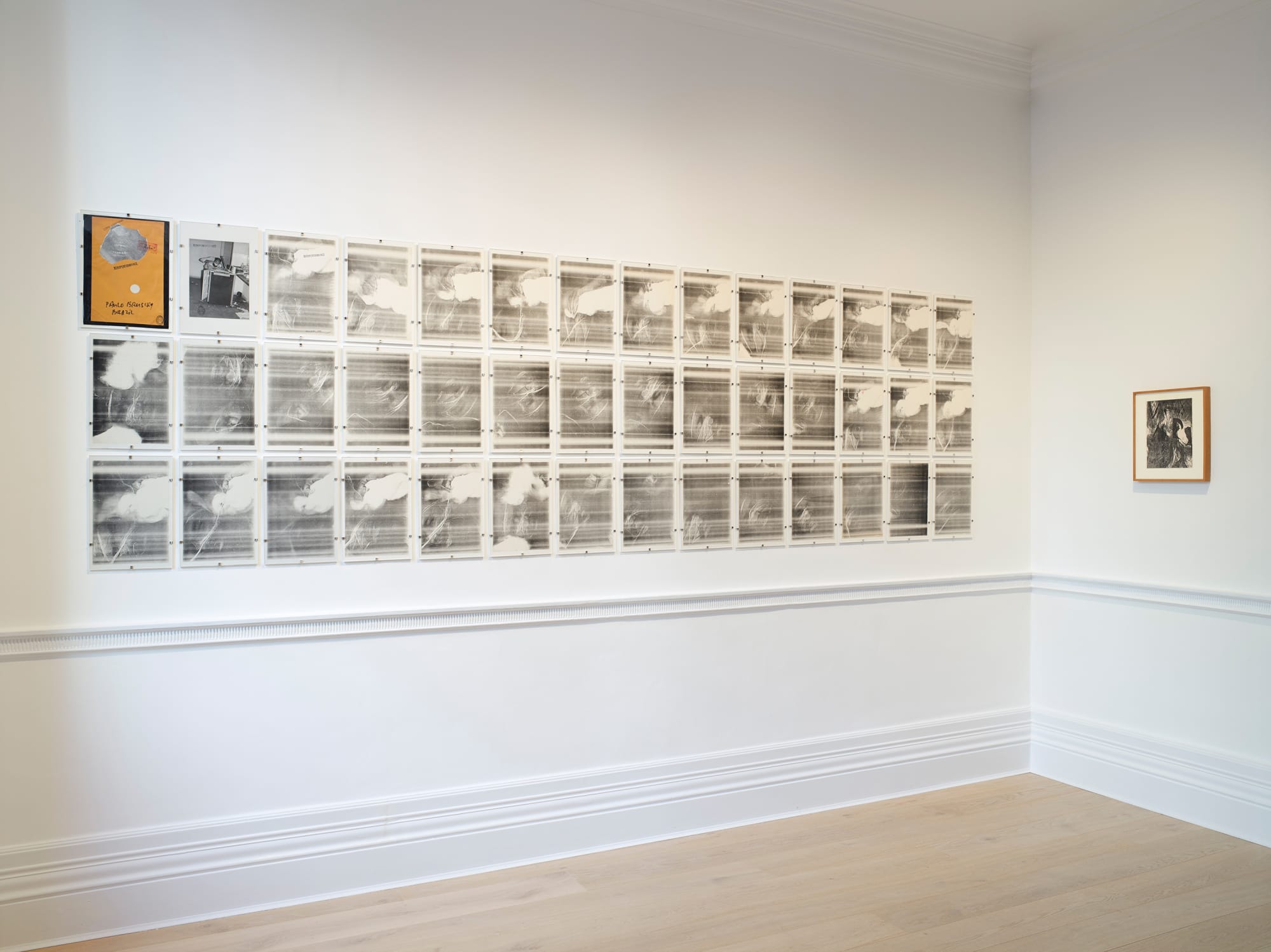 Installation view, Paulo BRUSCKY: The Gallery will be fumigated of art. Photo: Peter Mallet