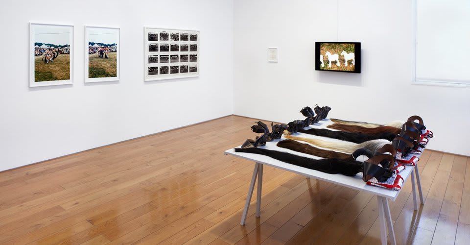 Installation view at Karsten Schubert gallery.