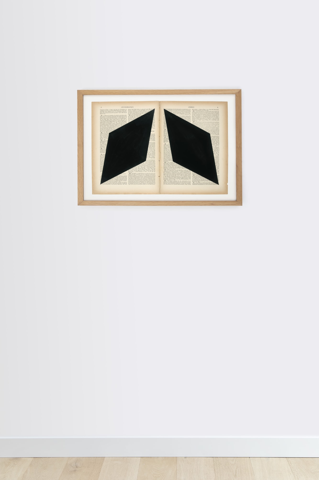 Marinda Vandenheede Pars Pro Toto - Accession II, 2021