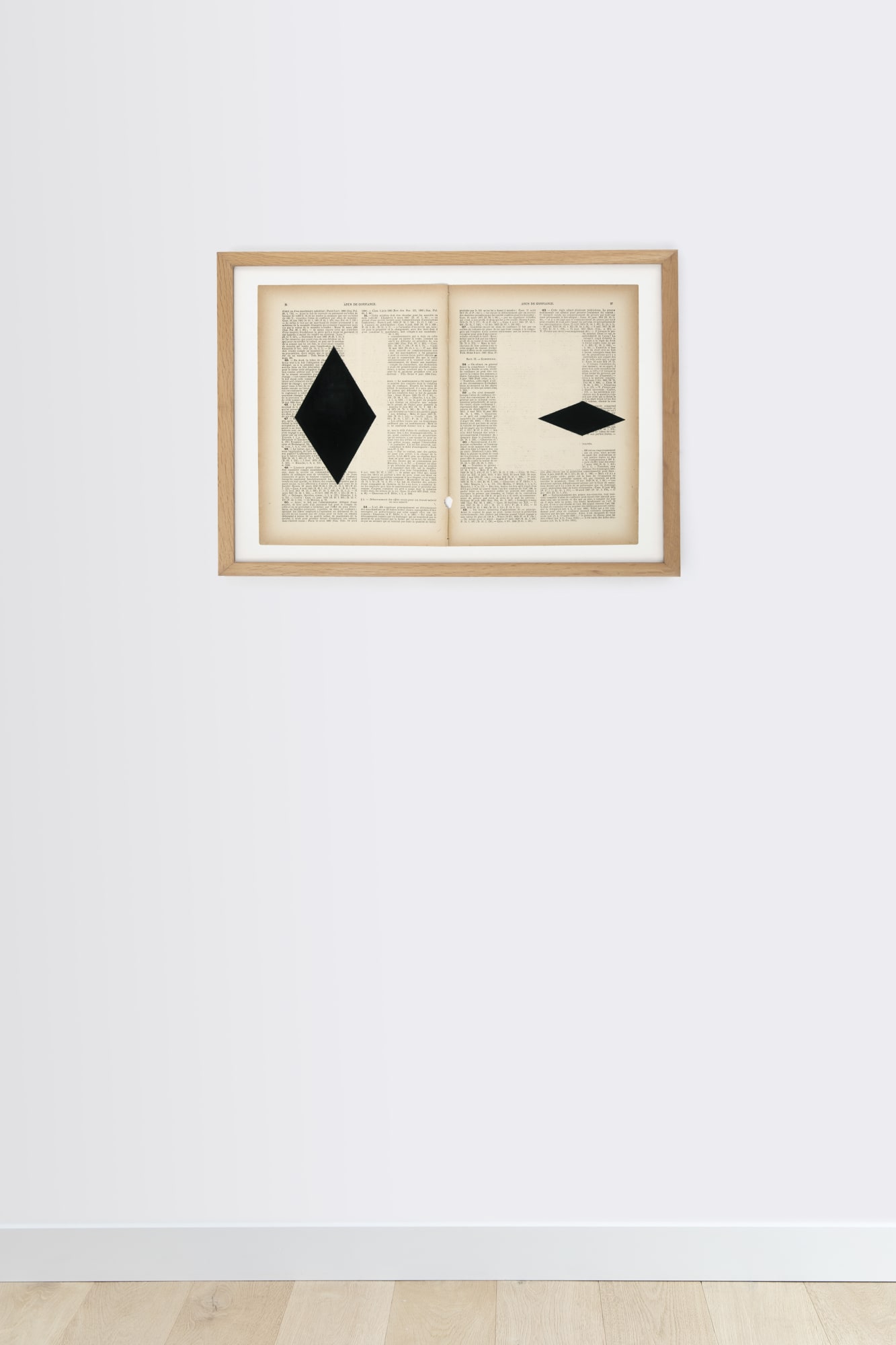 Marinda Vandenheede Pars Pro Toto - Breach of Trust, 2021