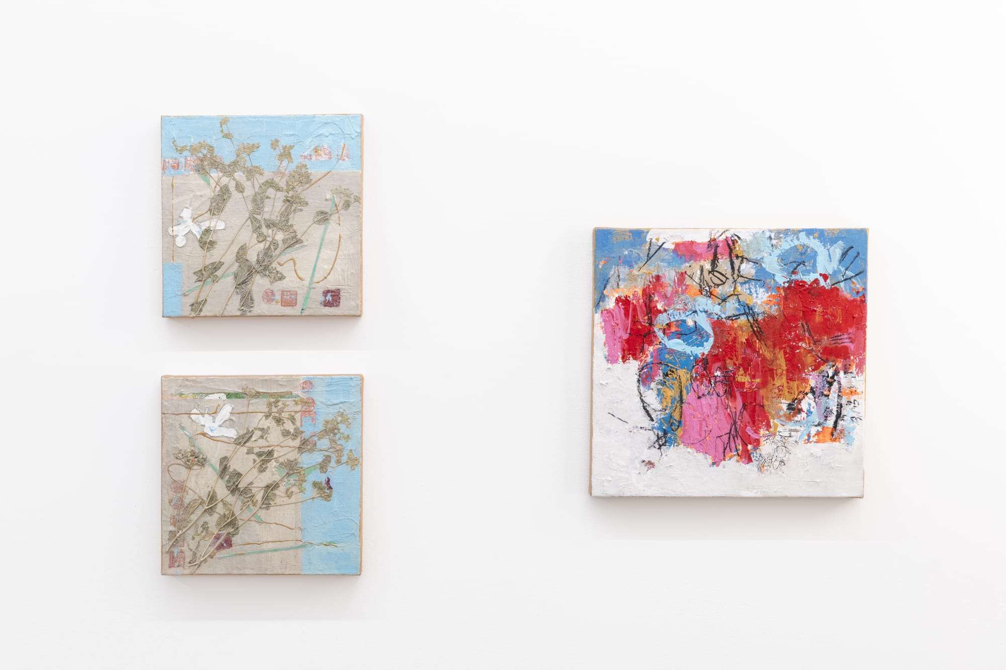 Canal Cheong Jagerroos Solo show, IF SO, 2025