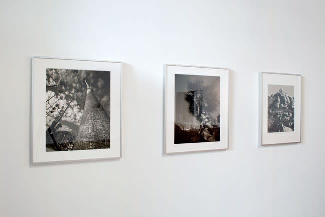 Los Angeles 1964/2012