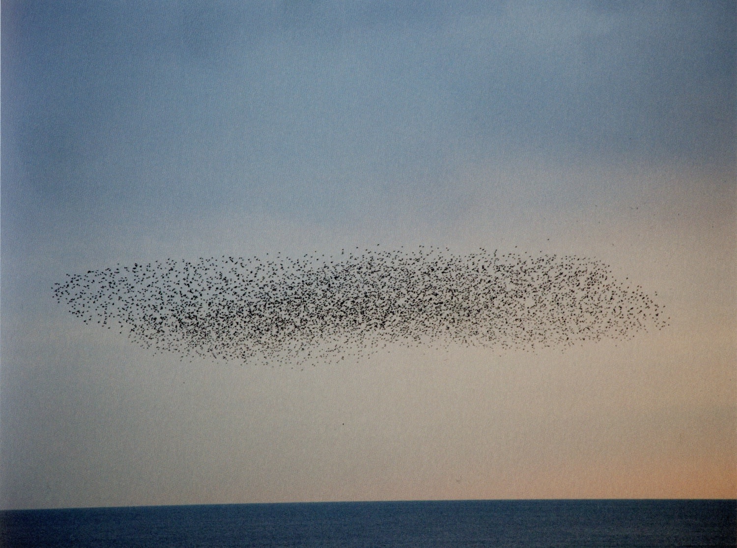 Photographic Arts Council, Los Angeles / Collector's Favorites