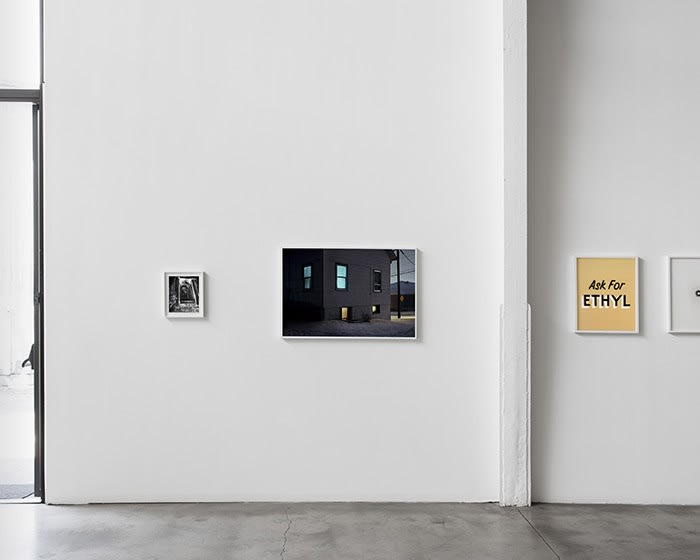 Redheaded Peckerwood