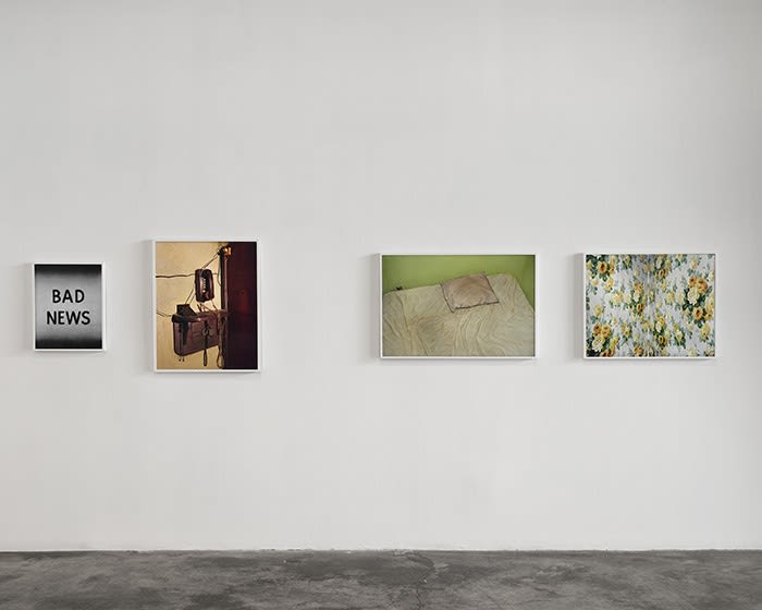 Redheaded Peckerwood