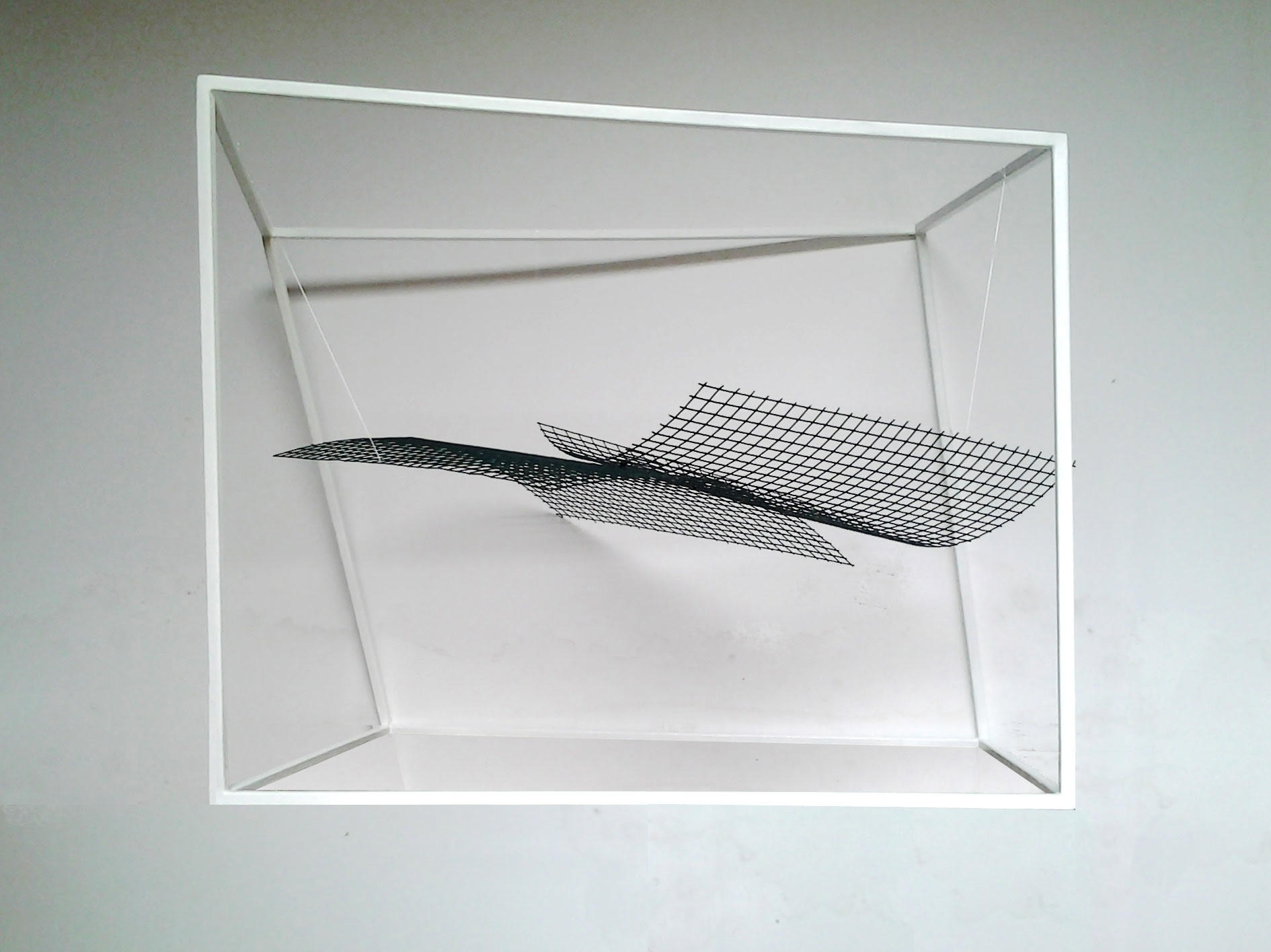 Alice Cattaneo untitled