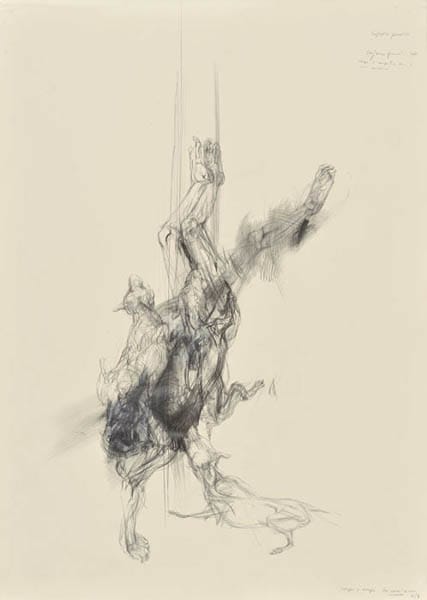 the fight, three hounds and one man, 2008