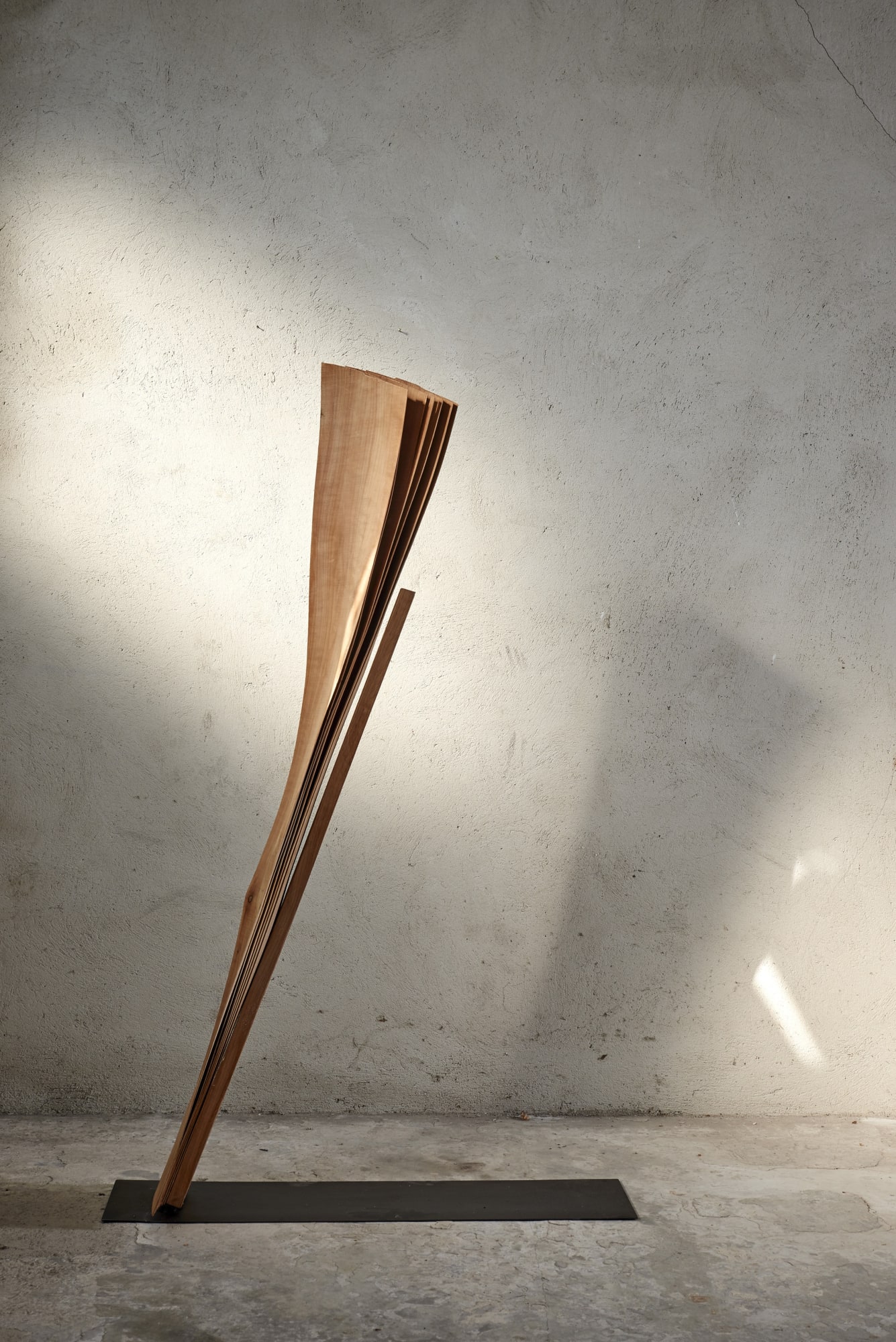 Herbert Golser just away, 2013