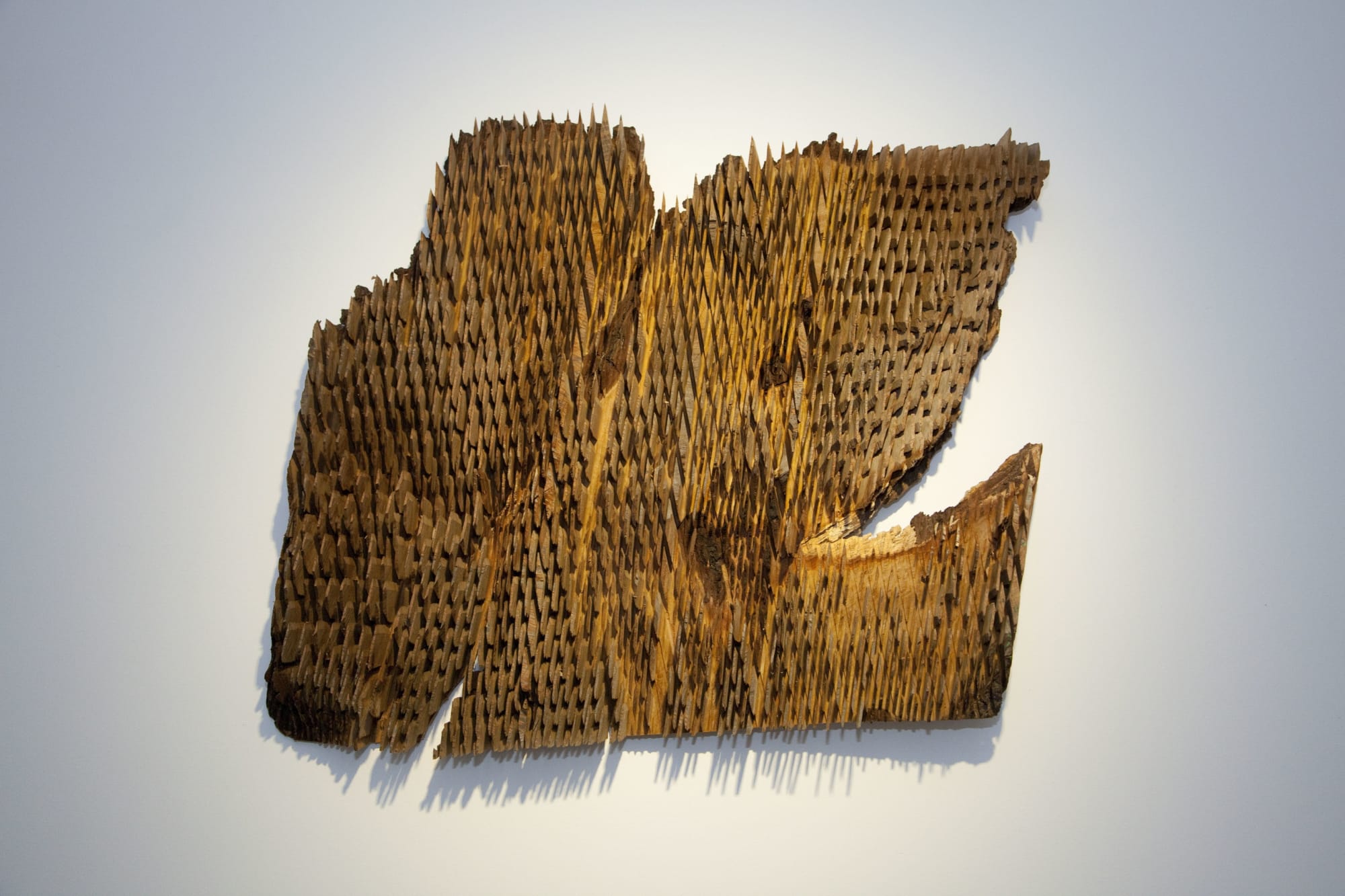 Herbert Golser | The Soul of the Material