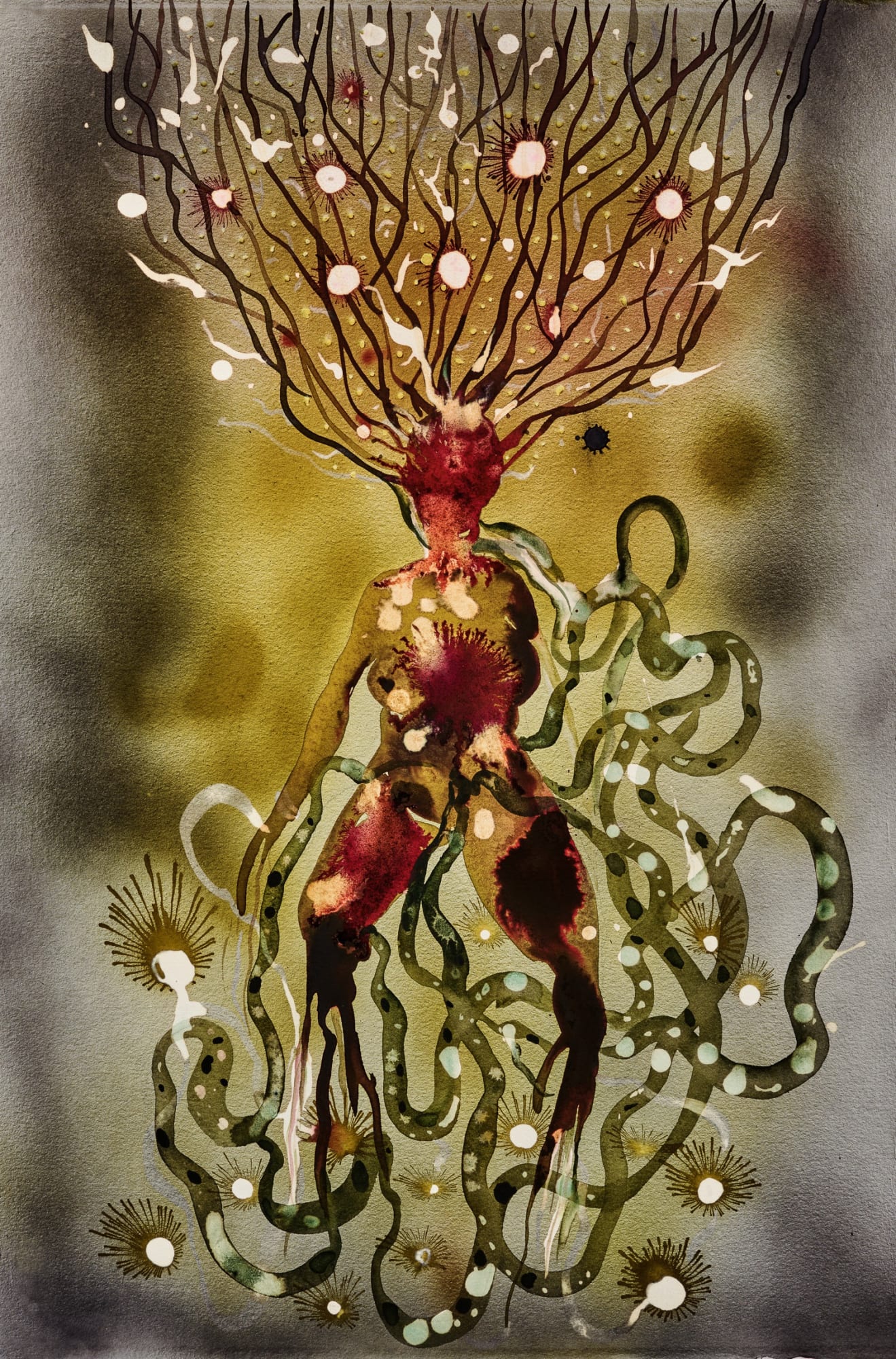 Shiva Ahmadi, Roots, 2022