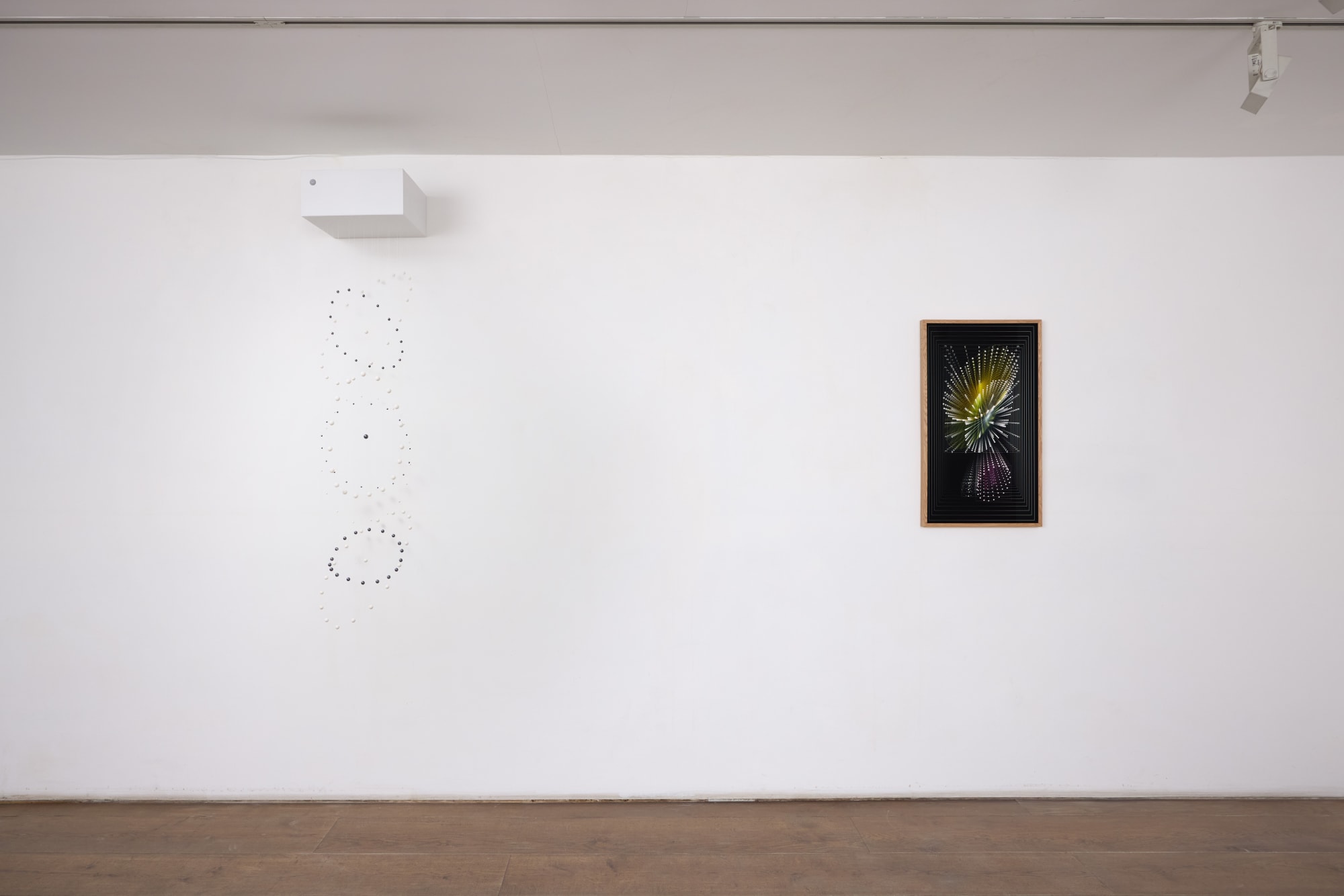 Rivas & Wloch | Cinética de la manifestación