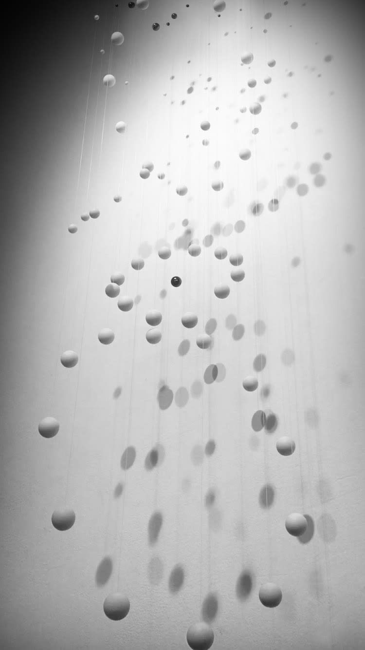 Paula Rivas & Christian Wloch Orbital Blanca, 2025