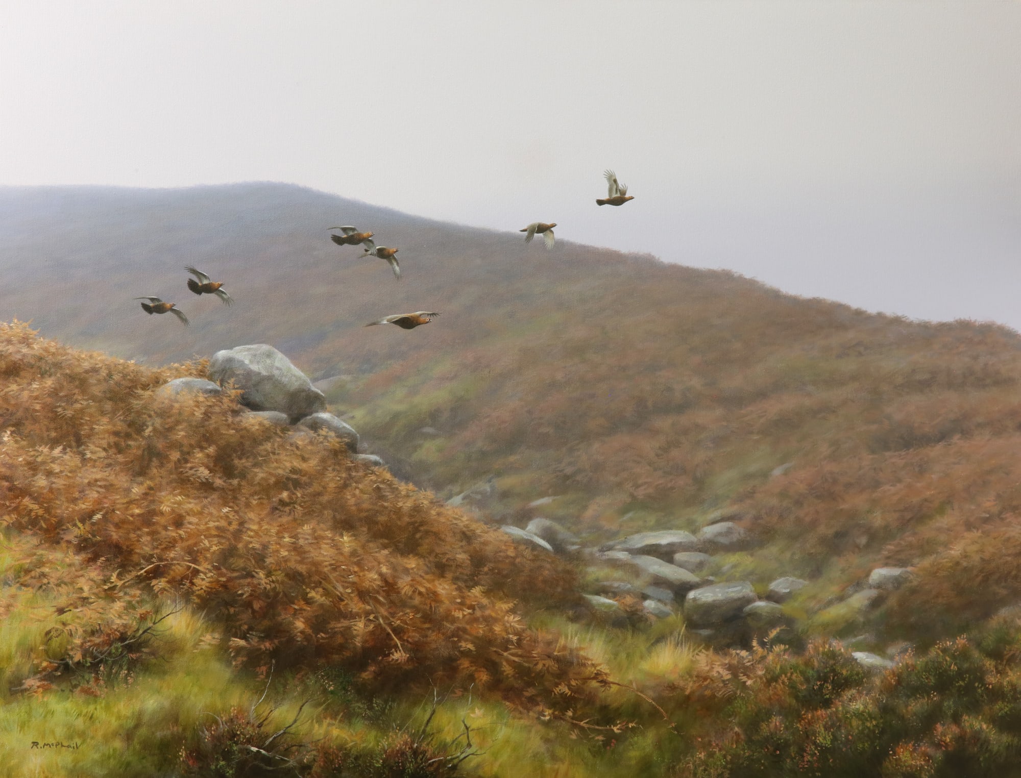 Rodger McPhail, Late season grouse