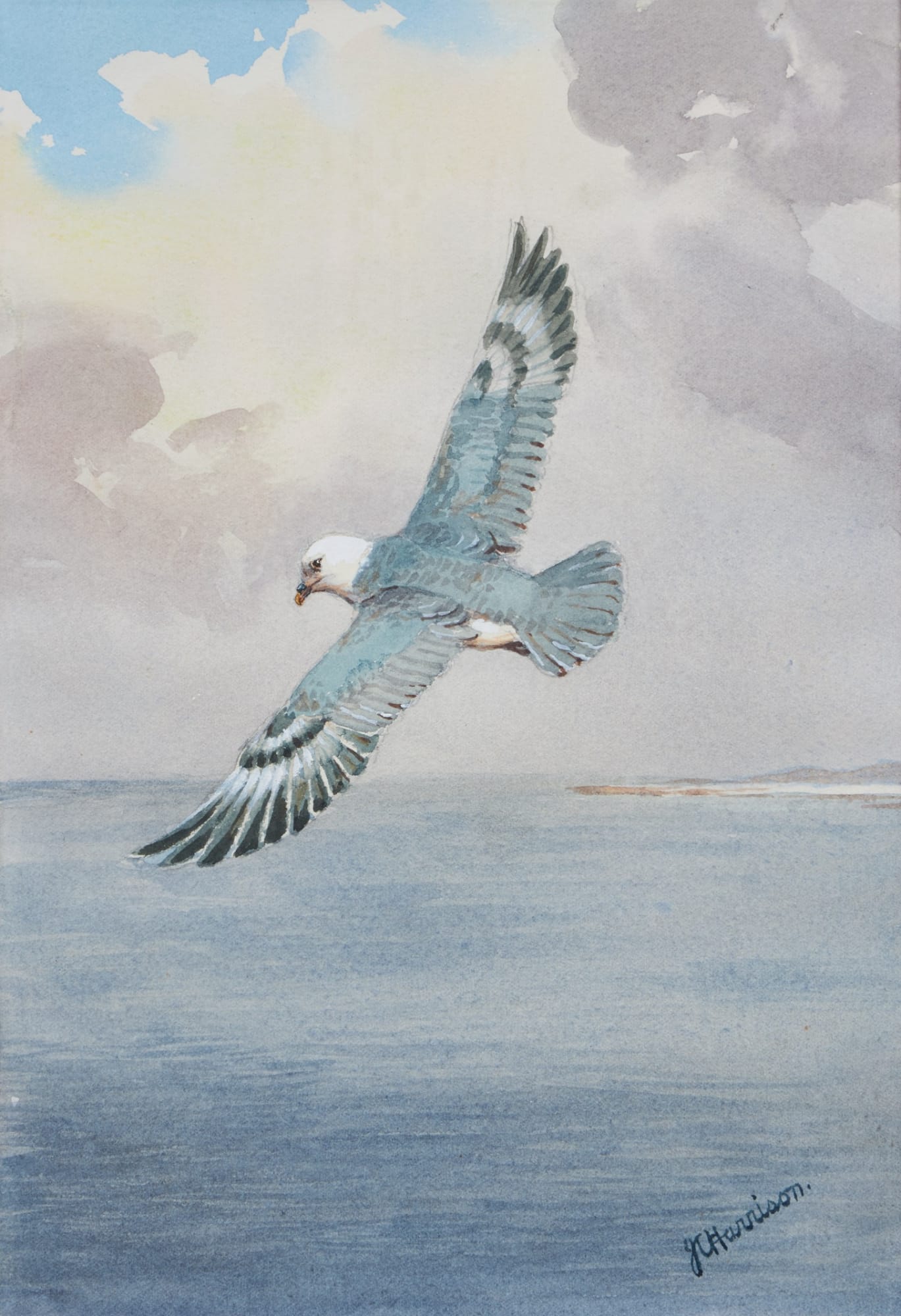 John Cyril Harrison, Fulmar