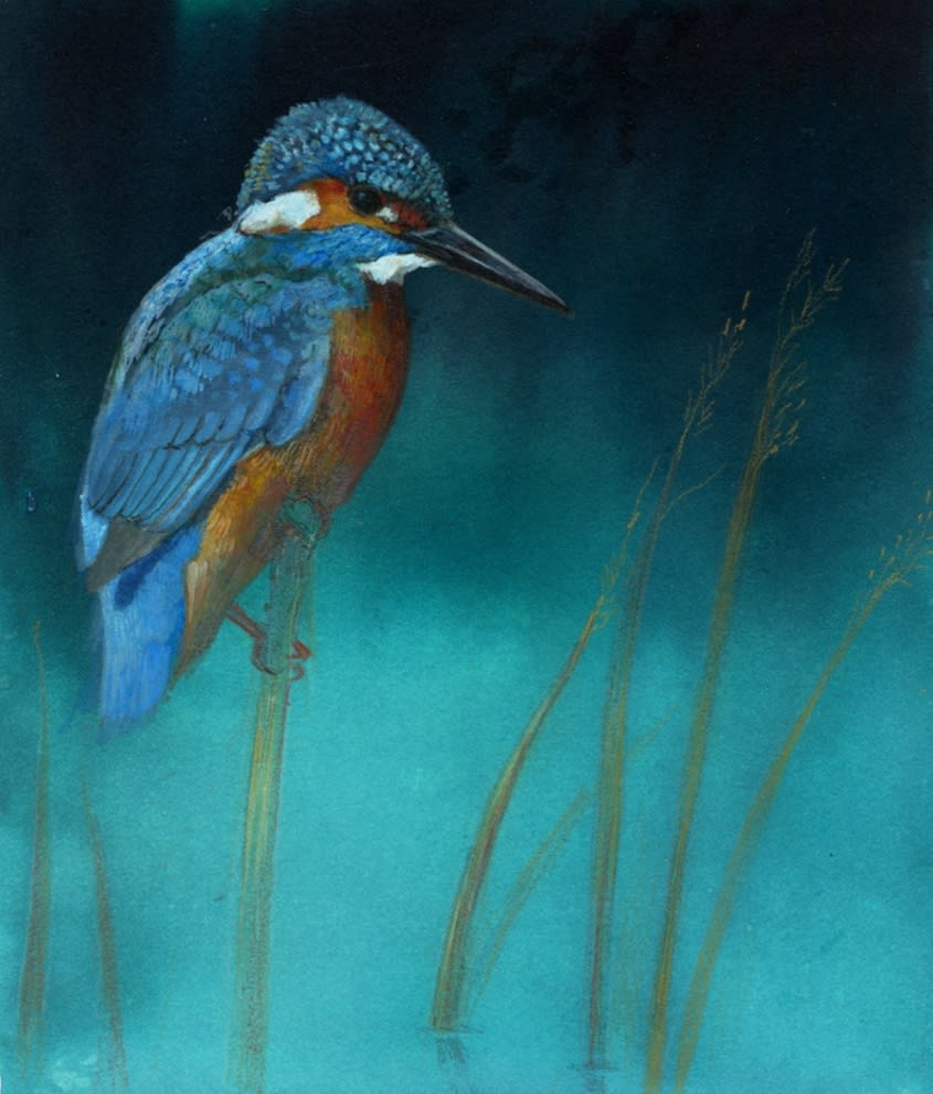 Emma Faull, Kingfisher