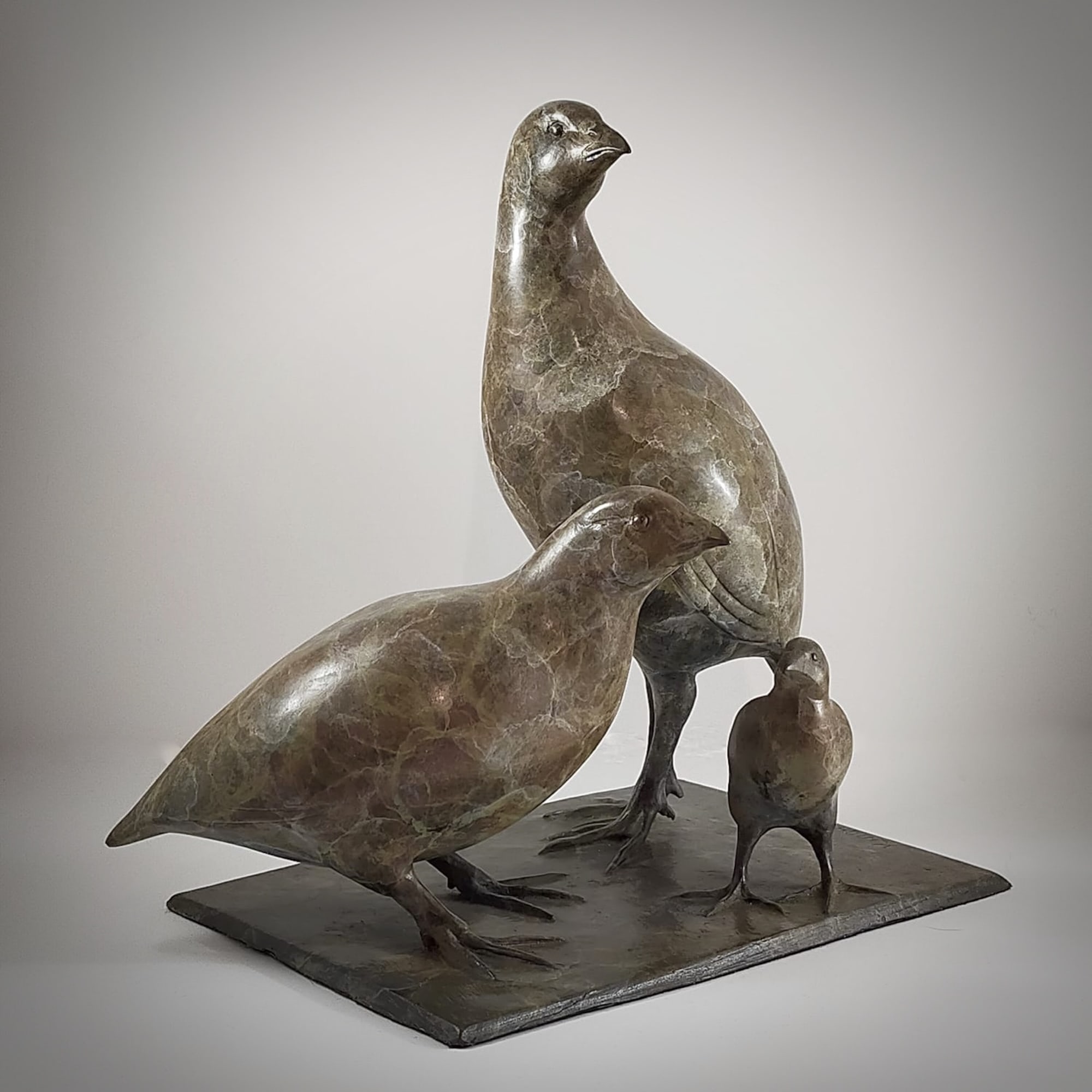 Jonathan Knight, Family of Quail