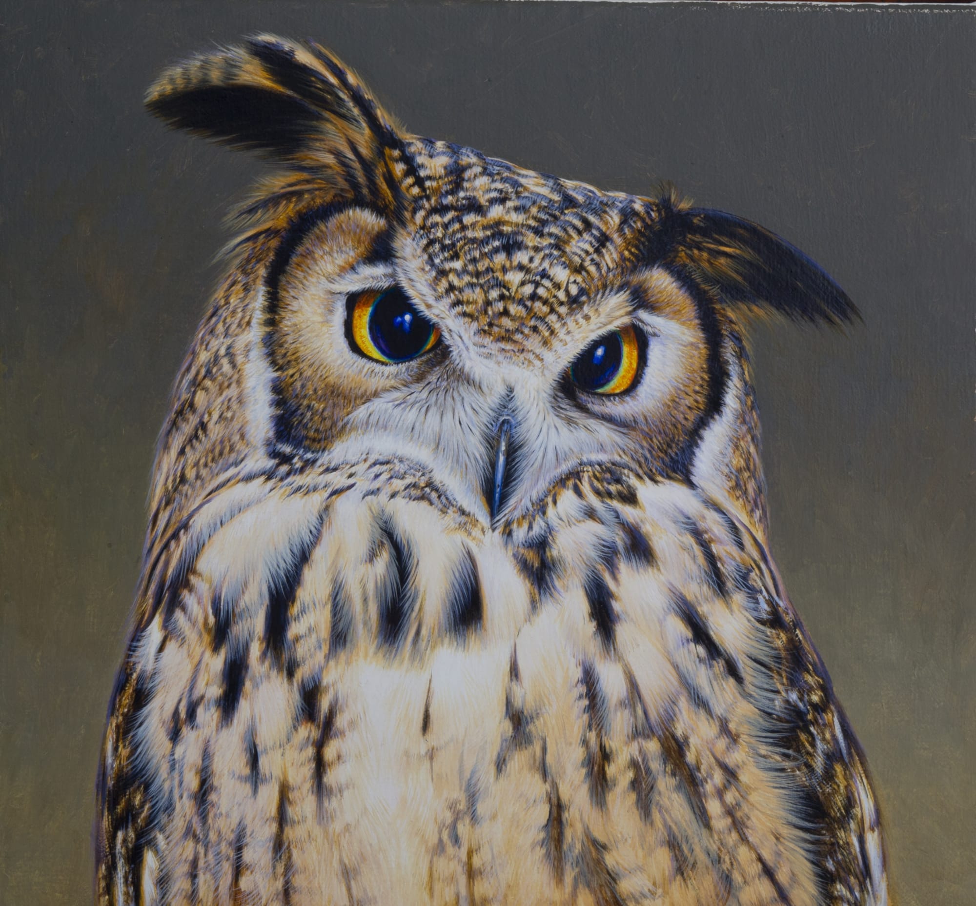 David Ord Kerr, Indian Eagle Owl