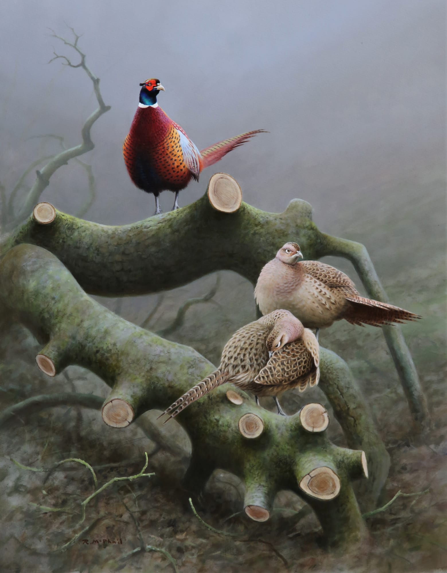 Rodger McPhail, Pheasants