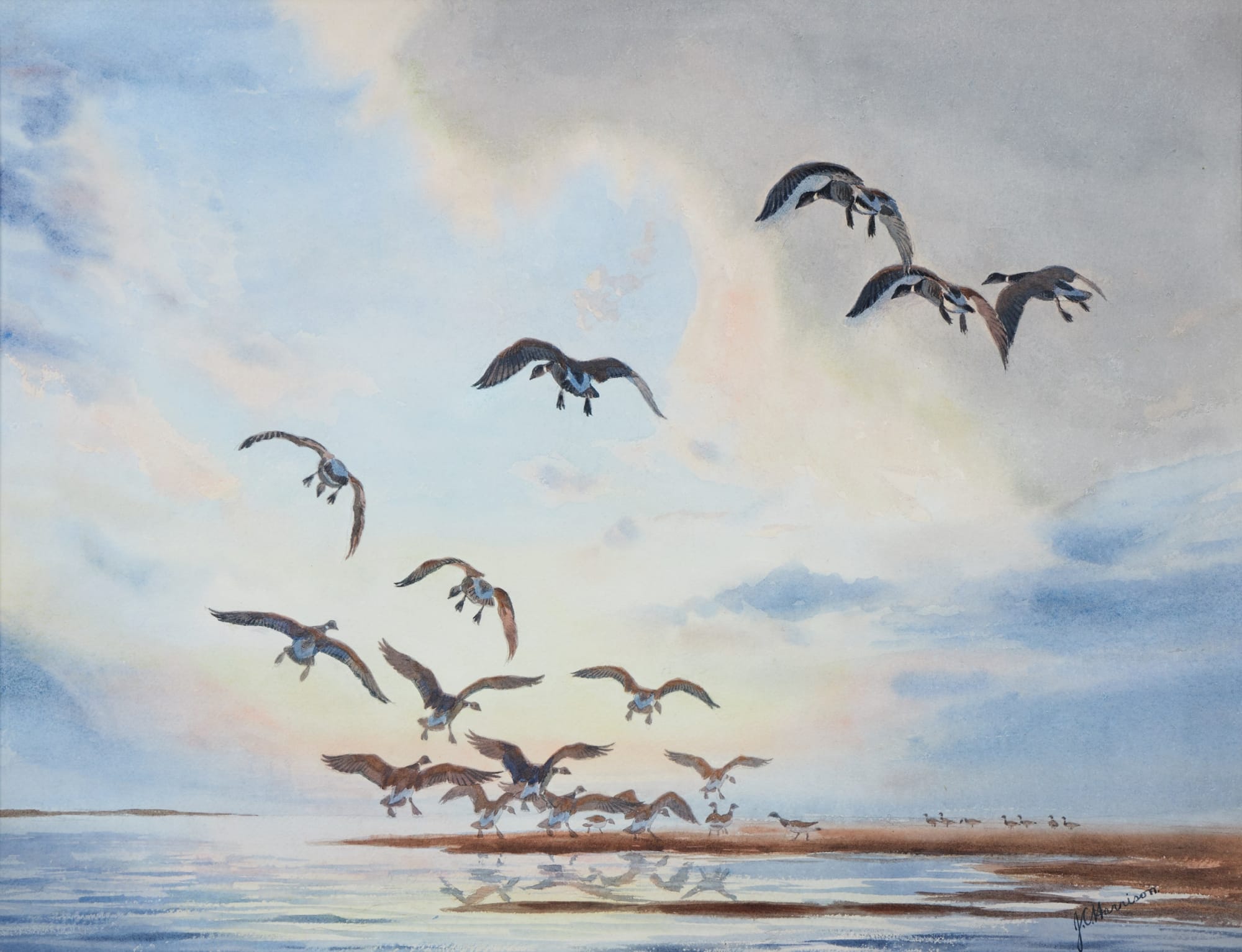 John Cyril Harrison, Brent geese alighting