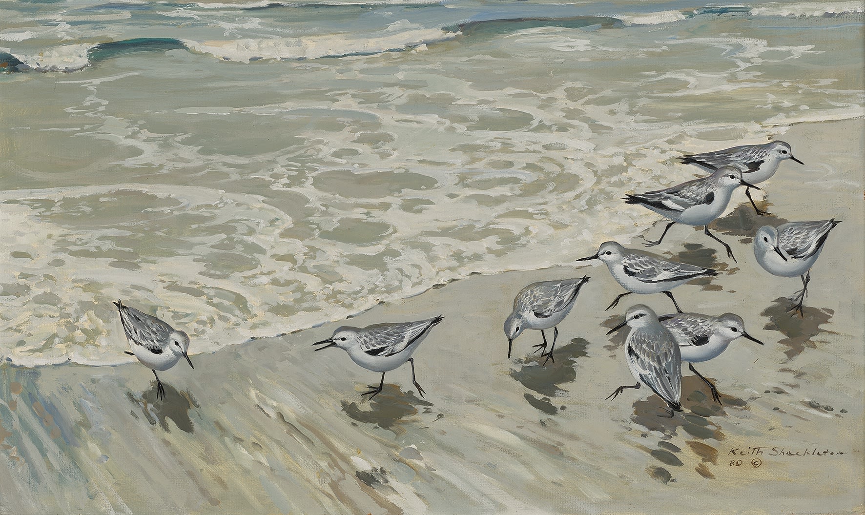 Keith Hope Shackleton, MBE, Sanderlings