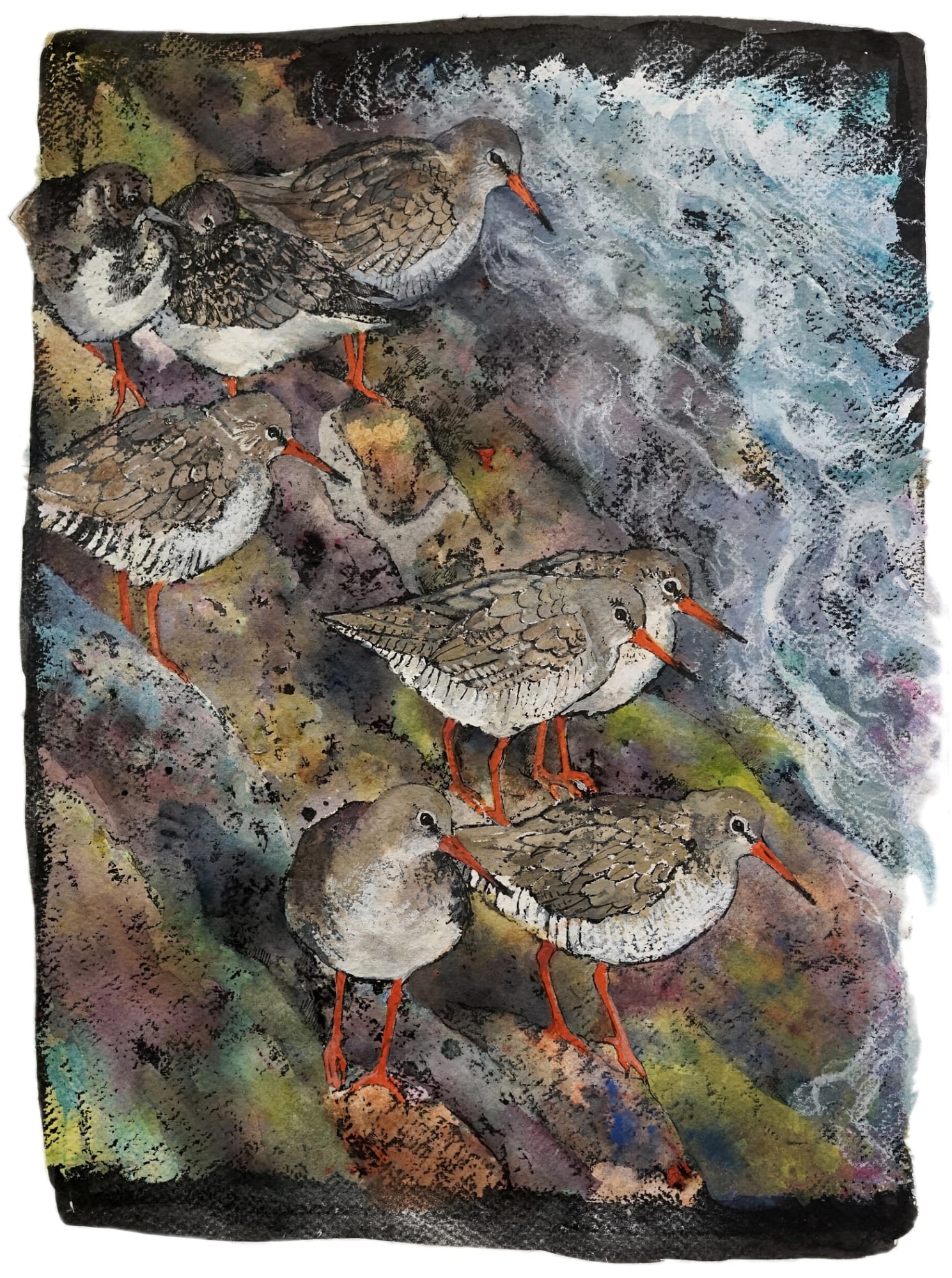 Emma Faull, Redshanks