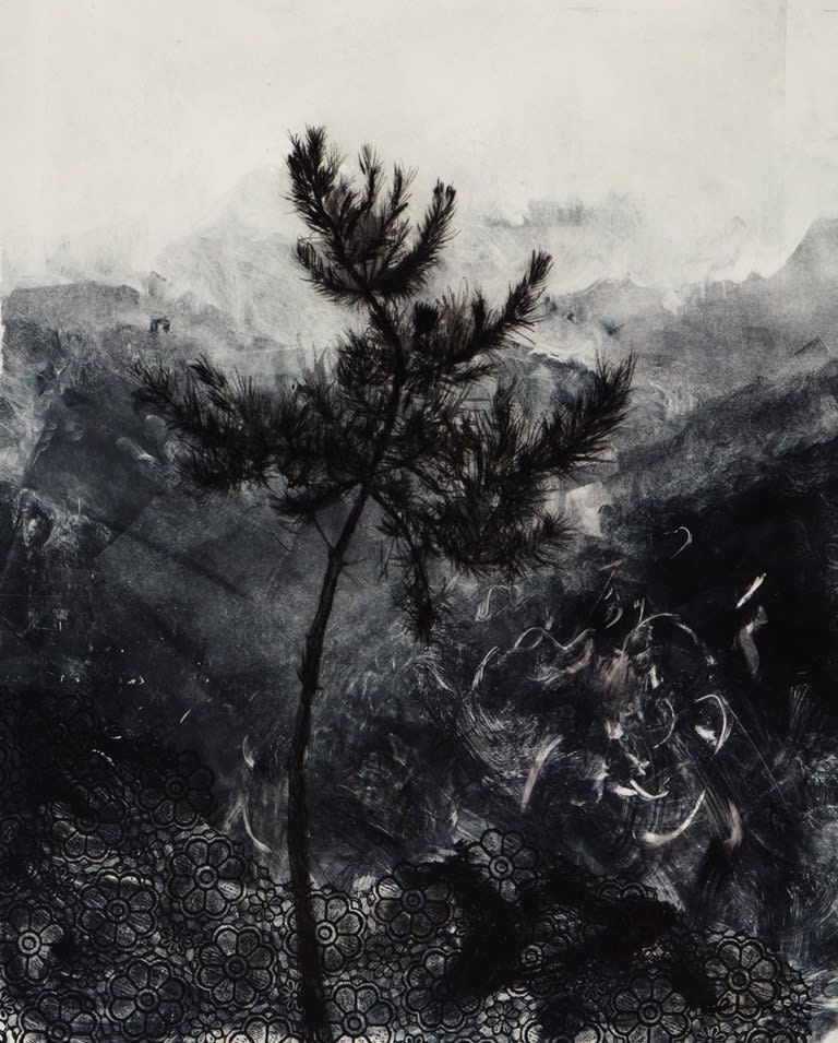 Kate Downie RSA, Northern Pine