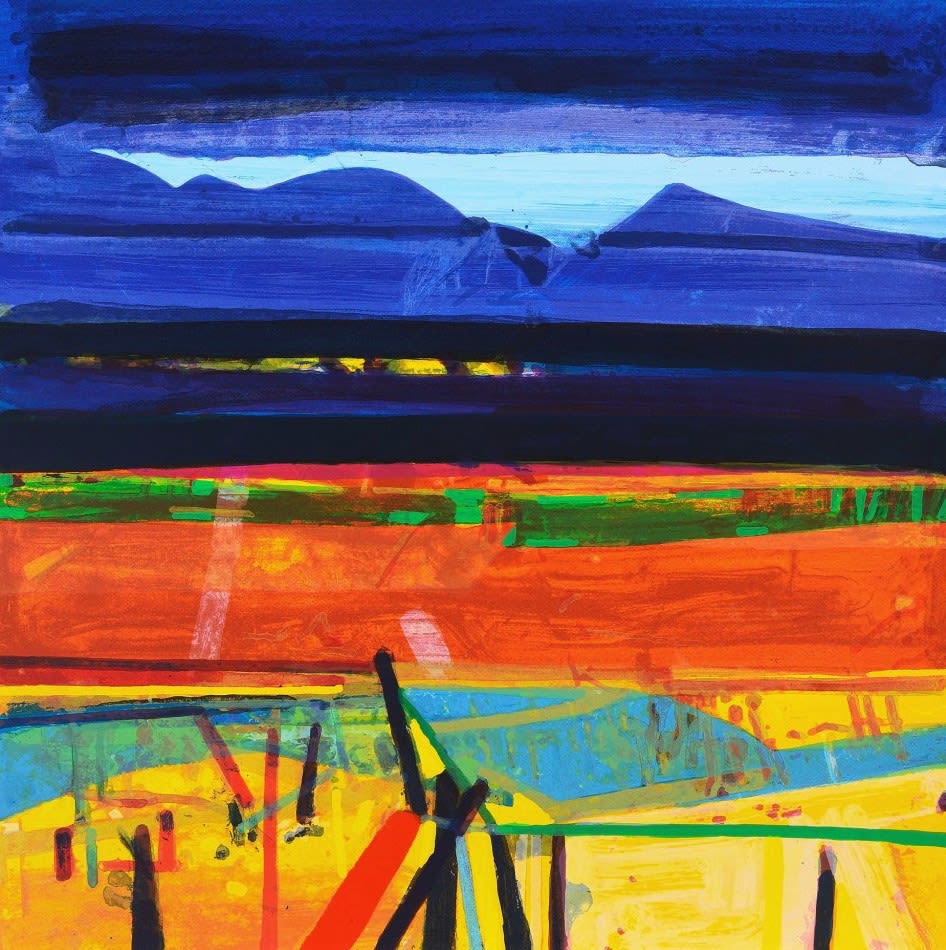 Barbara Rae RSA, Achill Fence, Screenprint