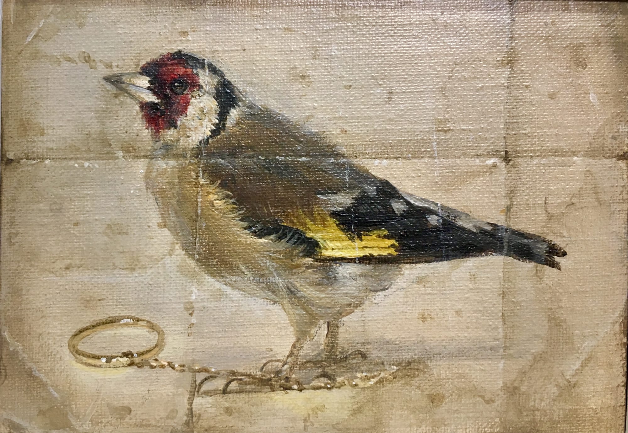 Derrick Guild RSA, Goldfinch
