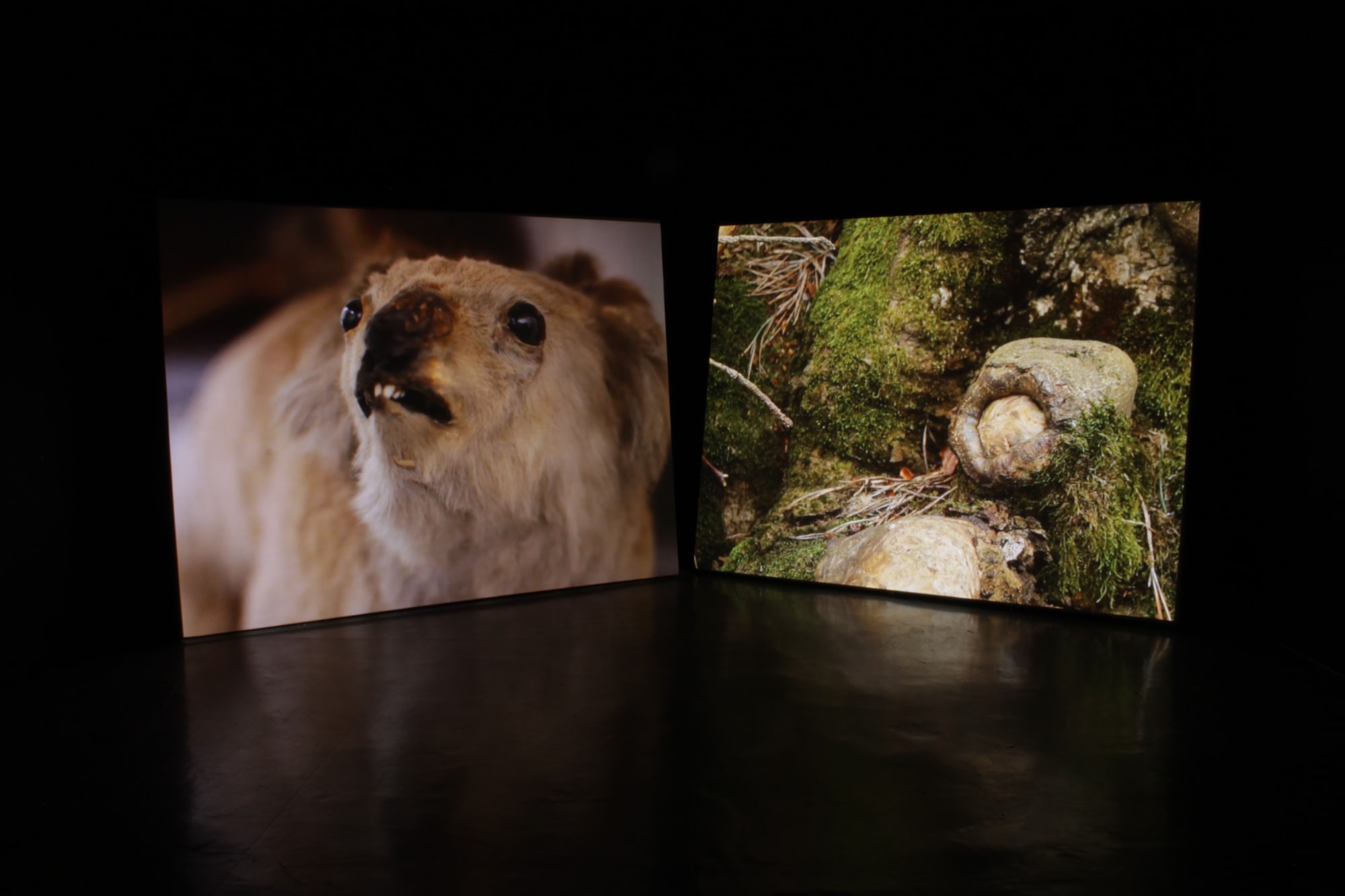 Edward Humphrey, Another Fiction, 2014, Installation Shot