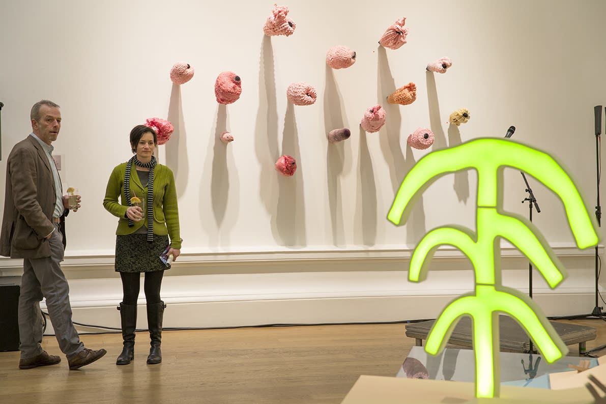 RSA New Contemporaries 2015