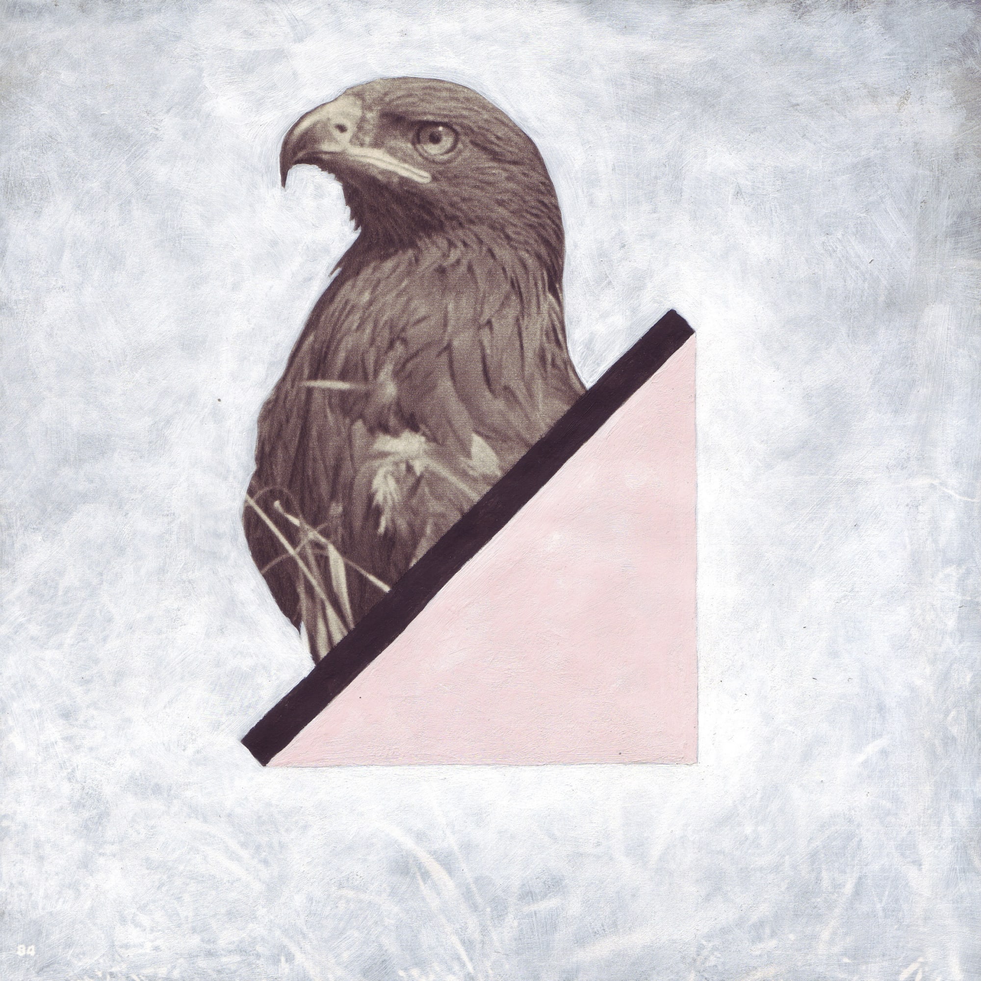 David Blyth, Bird Forms II, Arcylic on Paper