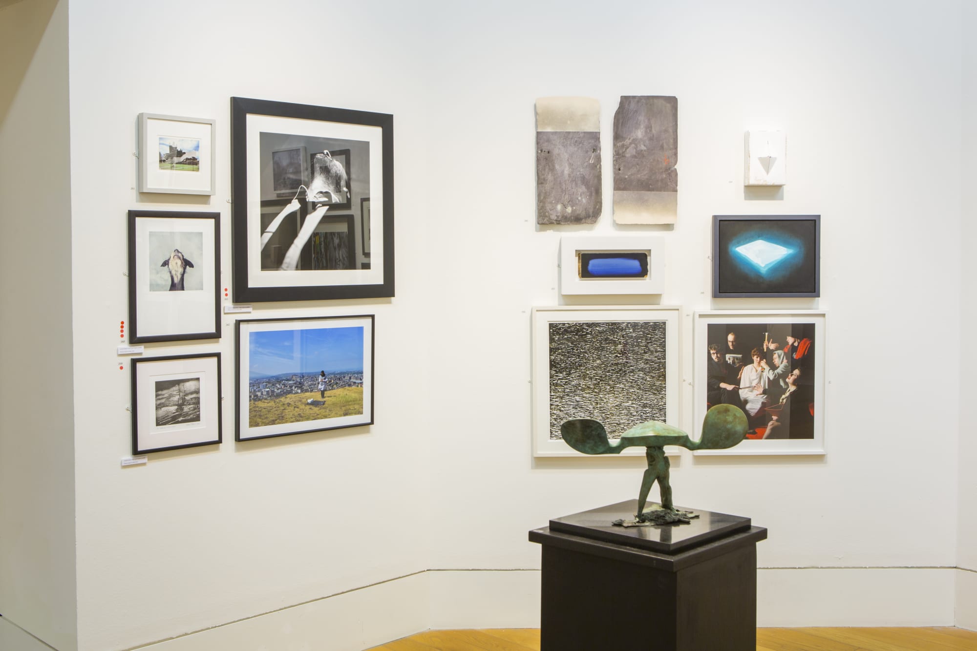 RSA Open Exhibition 2014