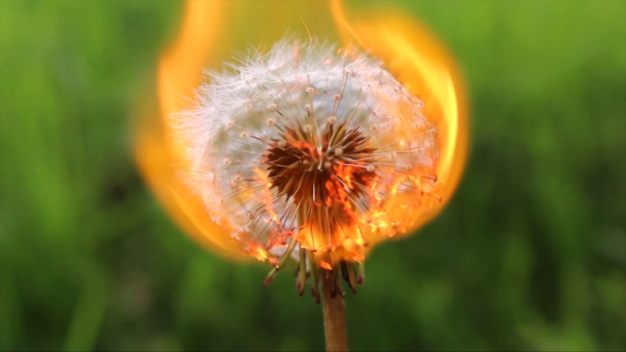 Sam Spreckley, Time, Film Still