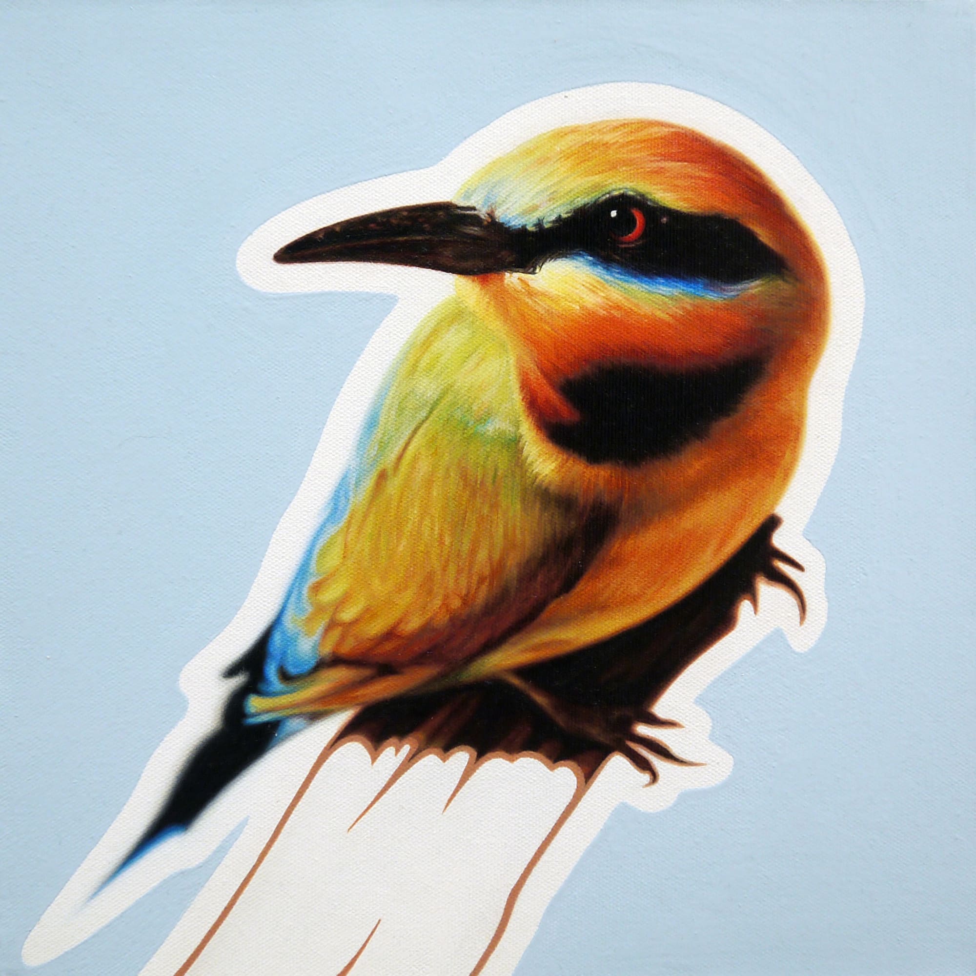 Fraser Douglas, African Bee Eater