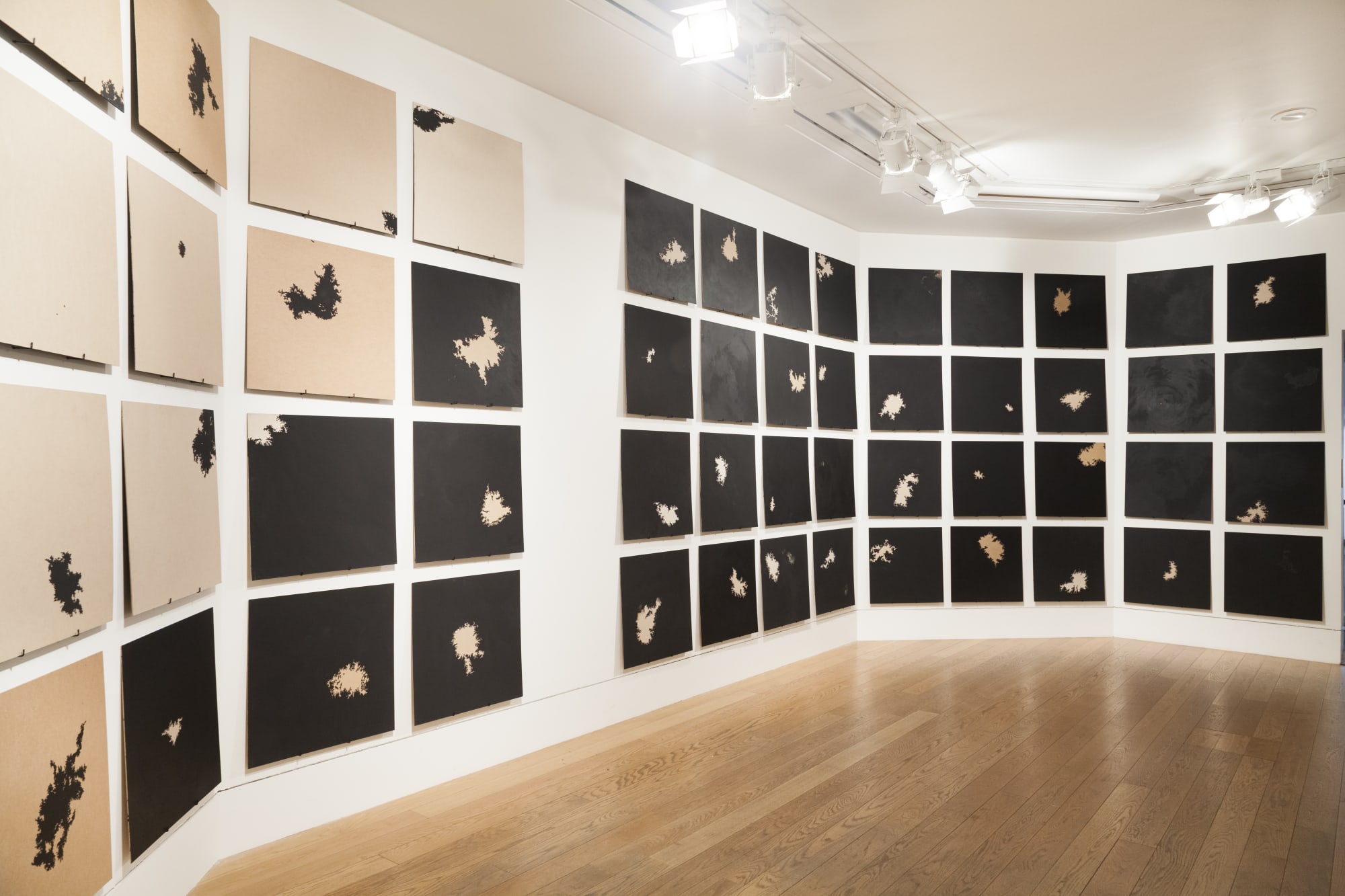 Aileen Stackhouse, installation detail. Photo Melanie Sangwine