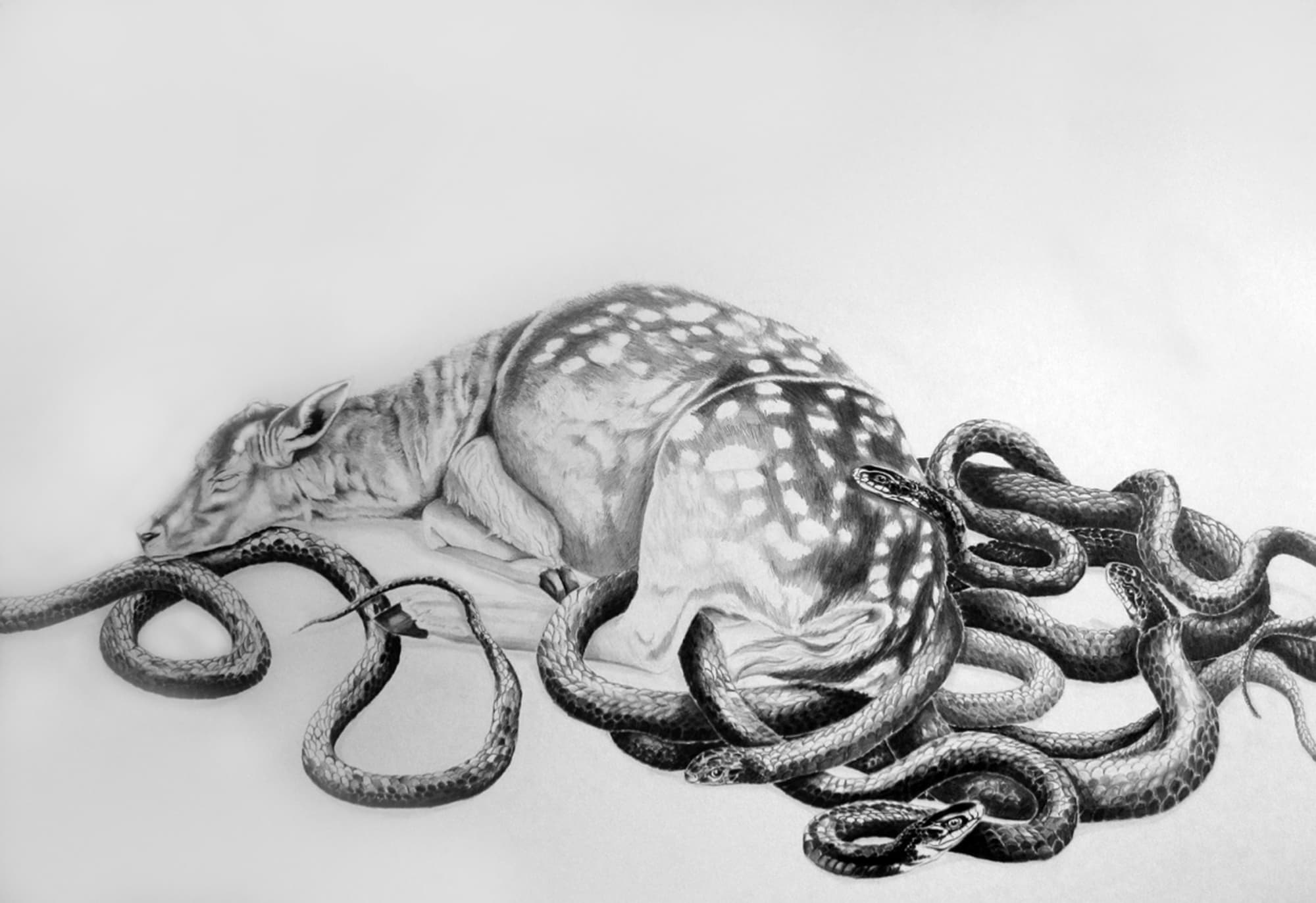 Ashley Nieuwenhuizen, Amongst the Ruins, 2011