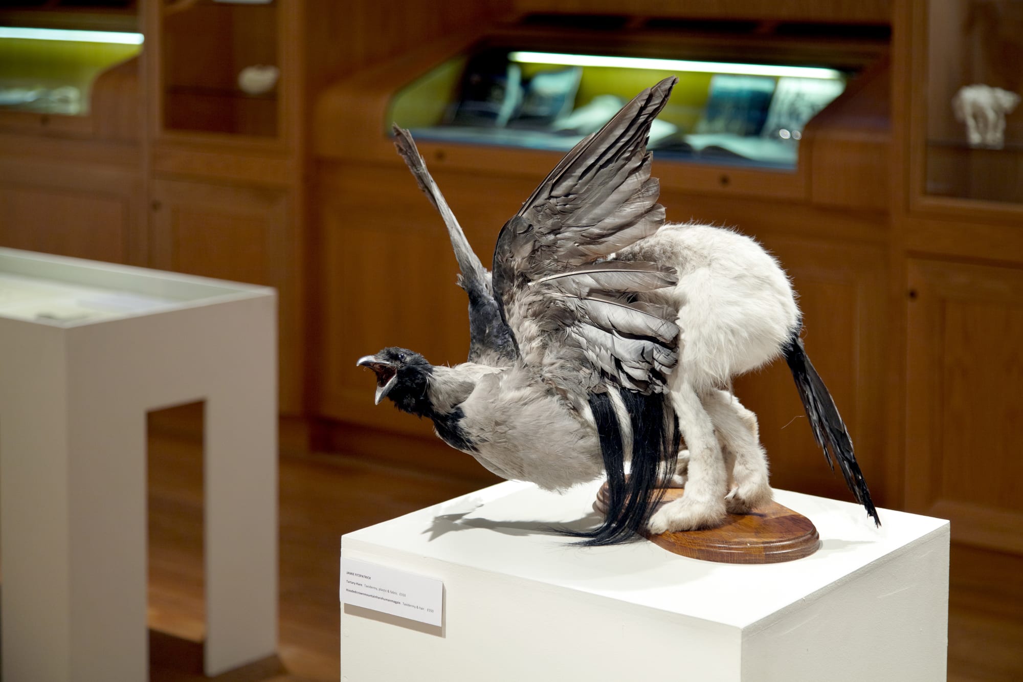 Of Natural & Mystical Things