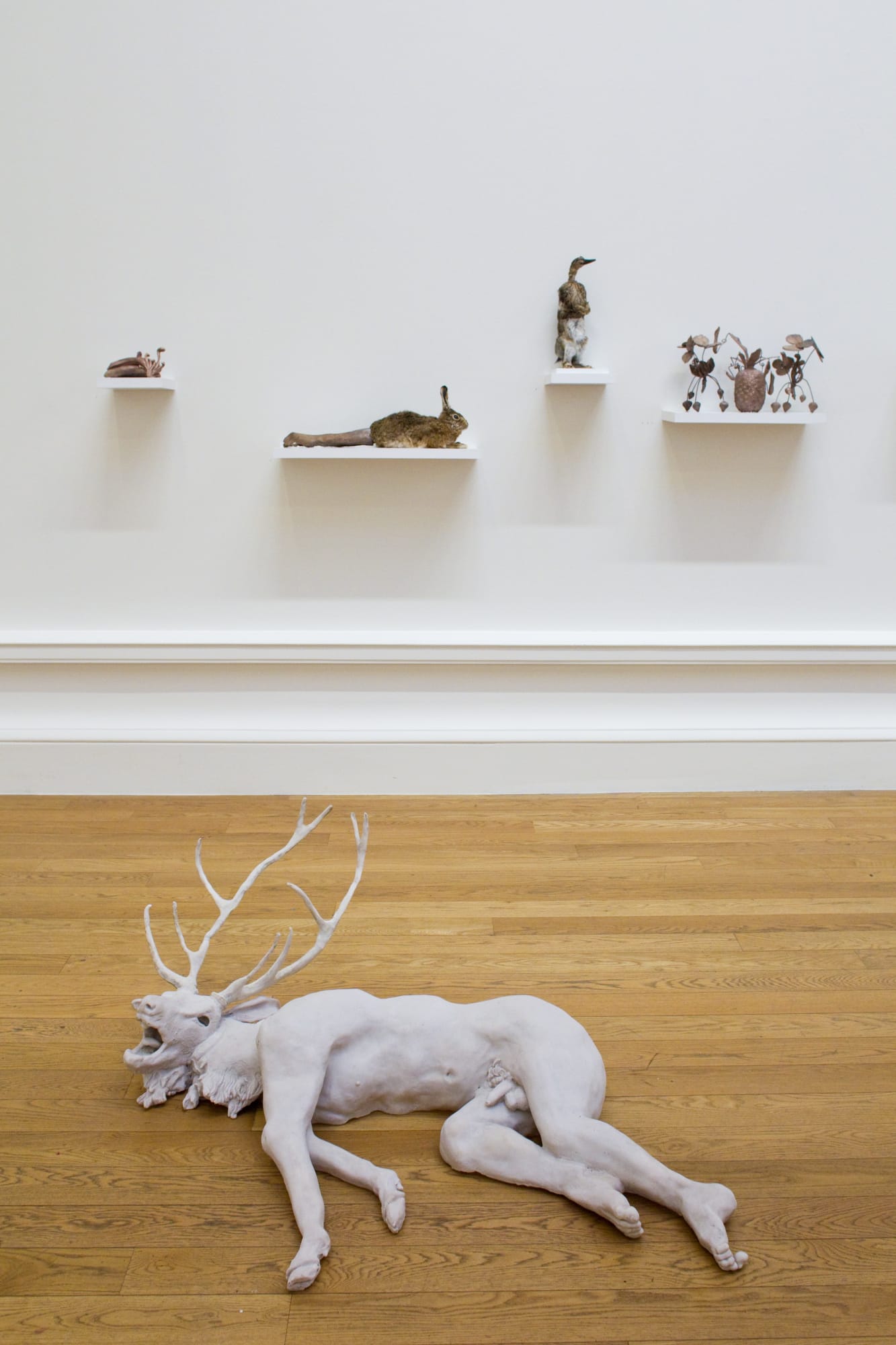 Jamie Fitzpatrick, Acteon