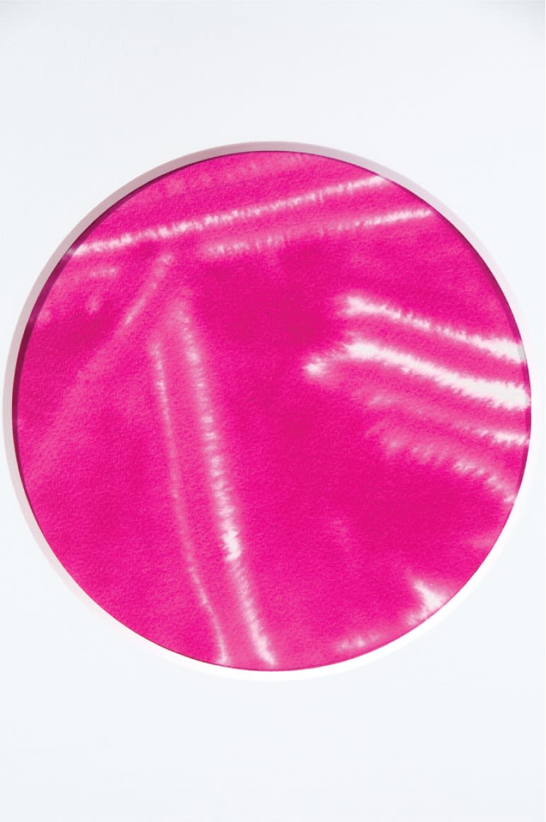 Kate Whiteford RSA, In Petri Veritas 1, 2009