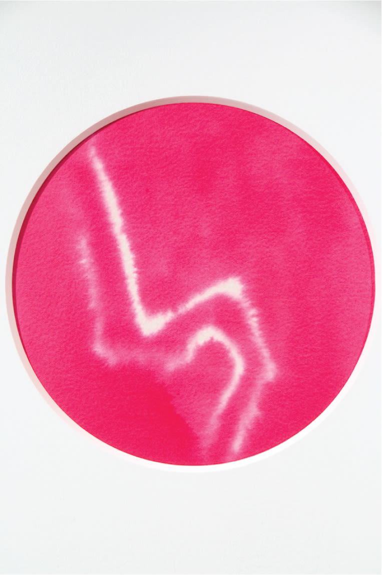 Kate Whiteford RSA, In Petri Veritas 3, 2009