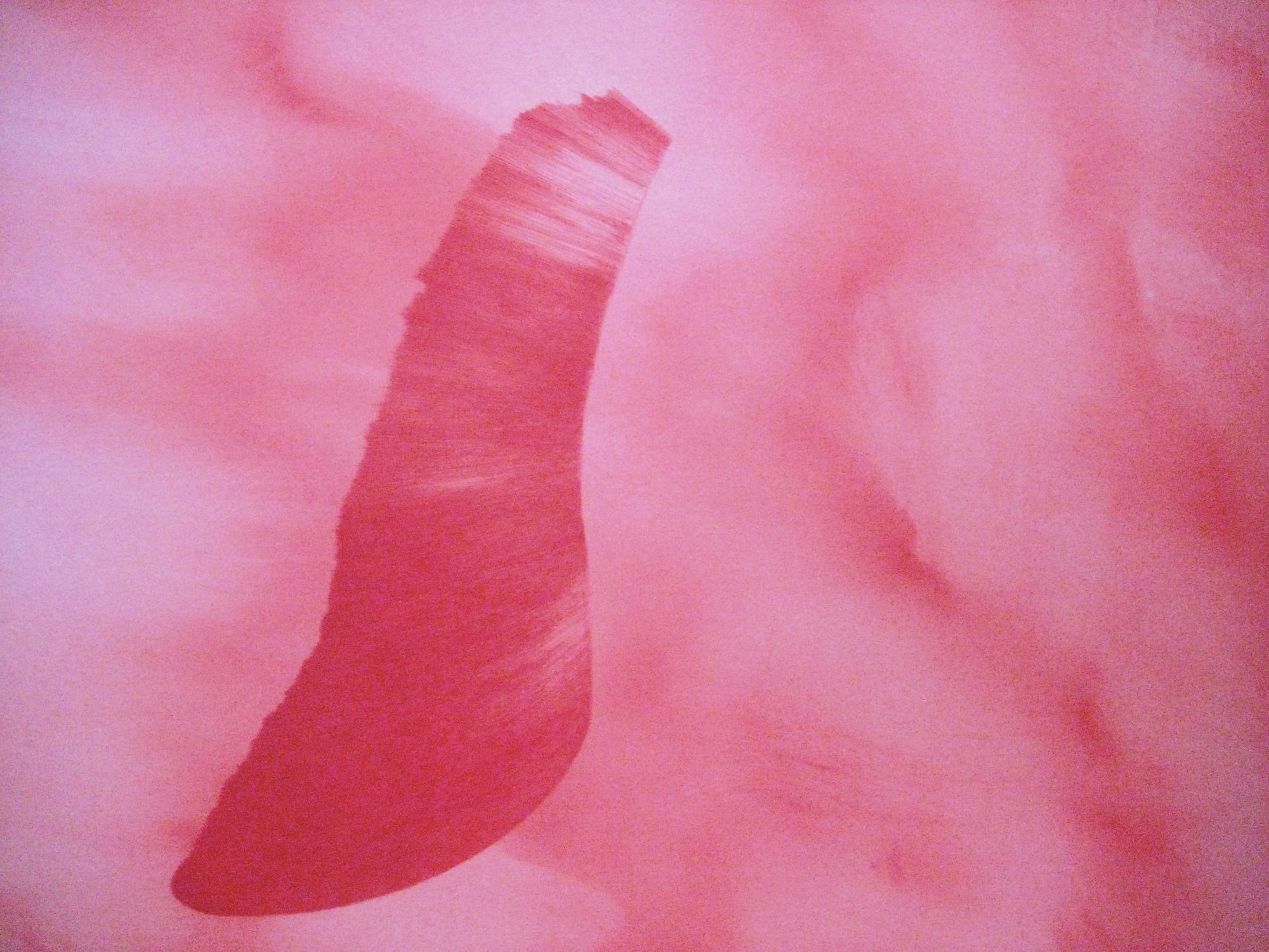 Eileen Lawrence RSA, Nature Red 1 - 6 (detail), 2008-2009